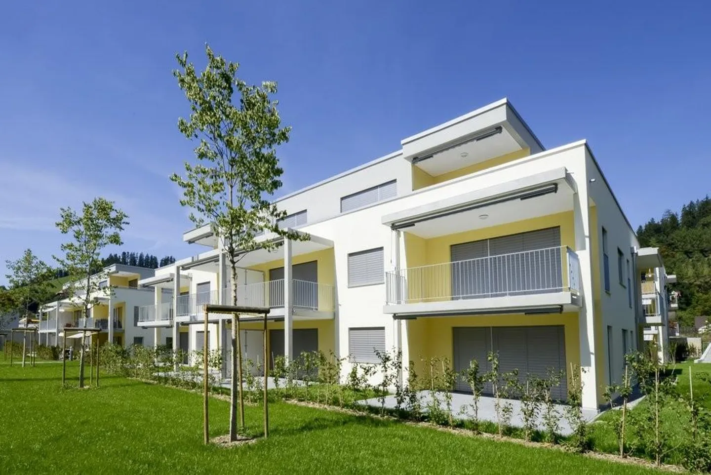 Bright and modern apartment in the Stämpflia area - Photo 1 of 11