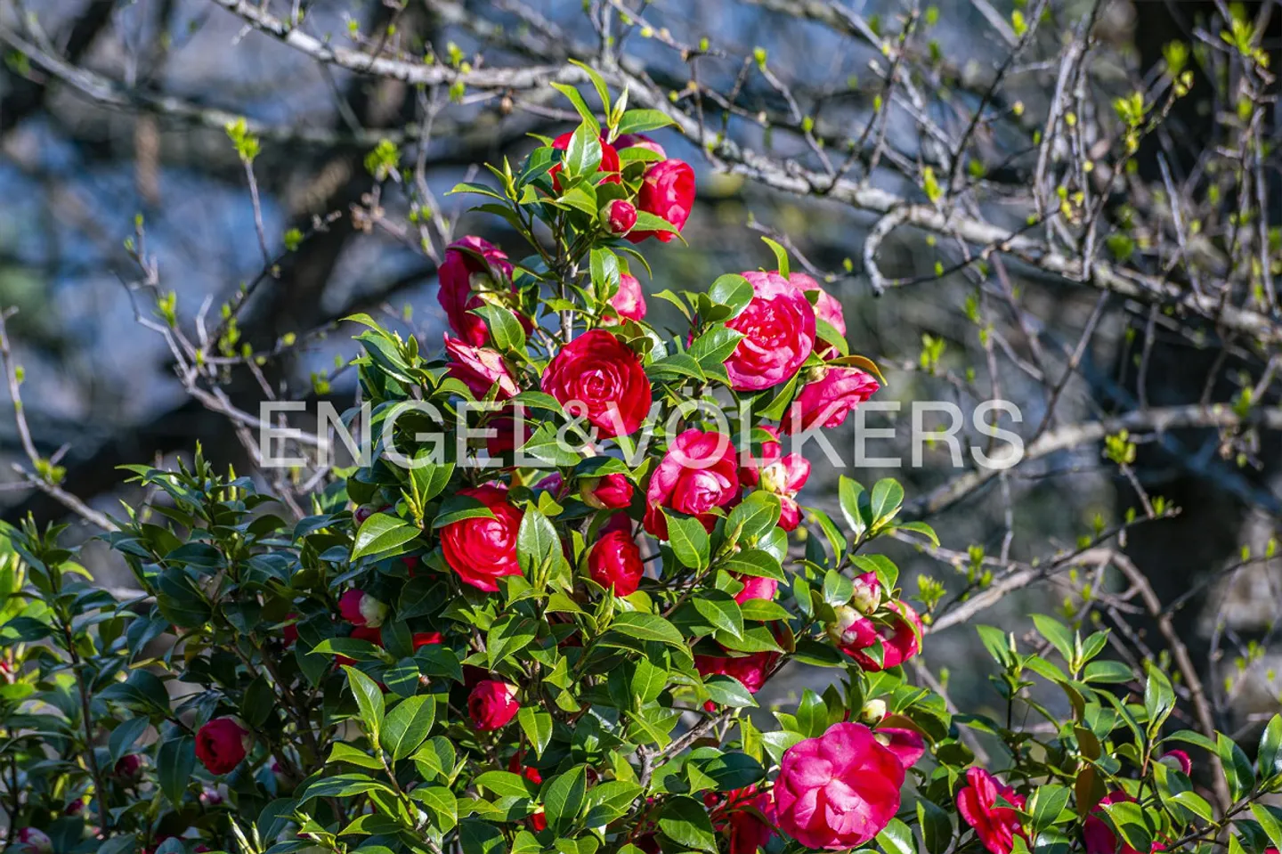 Rare Jewel on Lake Maggiore (60) - Photo 15 of 24