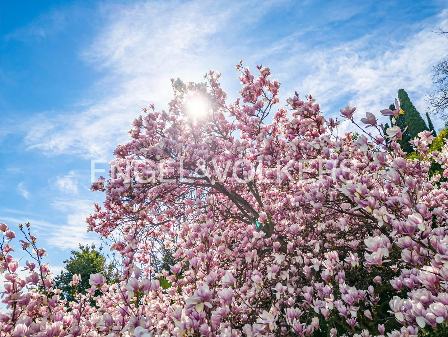Rare Jewel on Lake Maggiore (60) - Photo 16 of 24