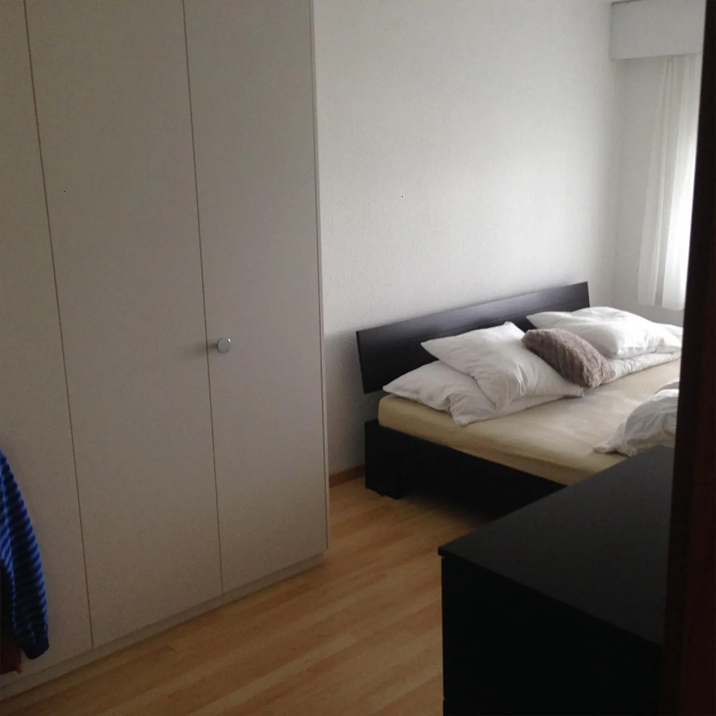 2.5 Room Apartment - Photo 2 of 7
