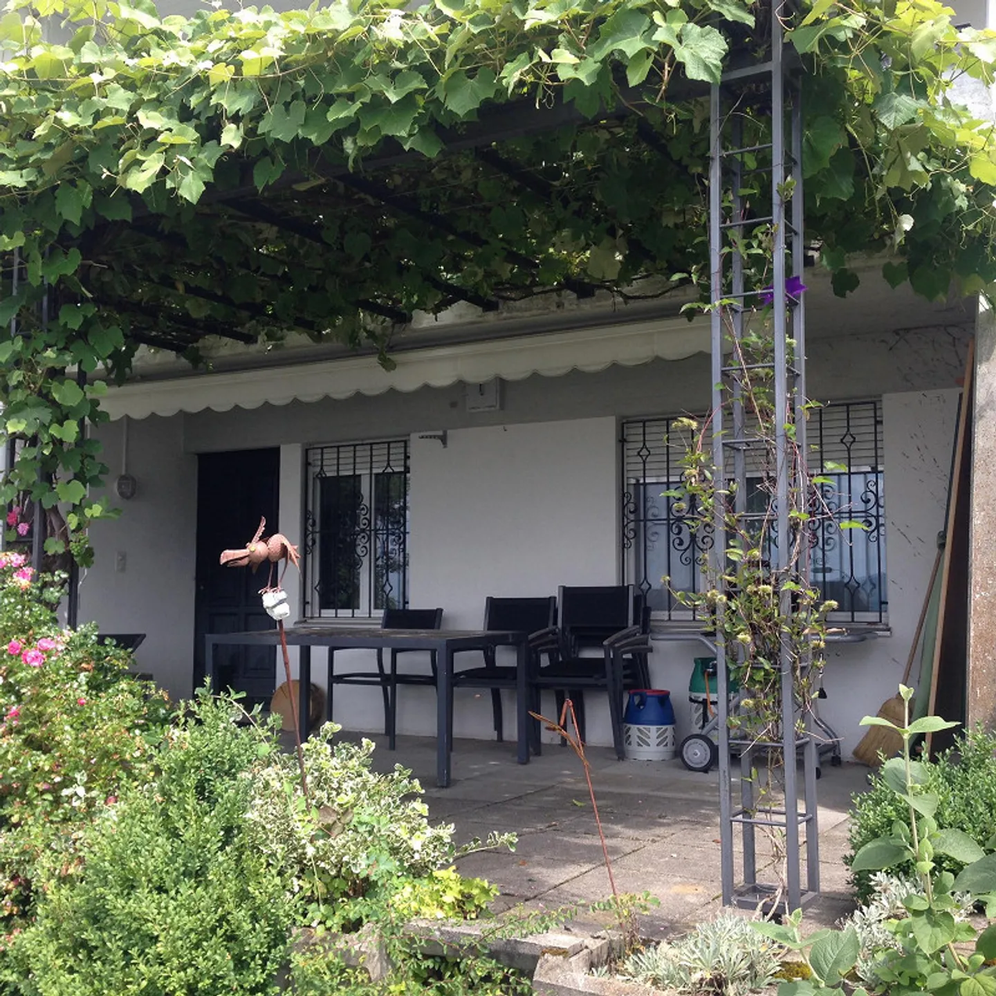 2.5 Room Apartment - Photo 5 of 7