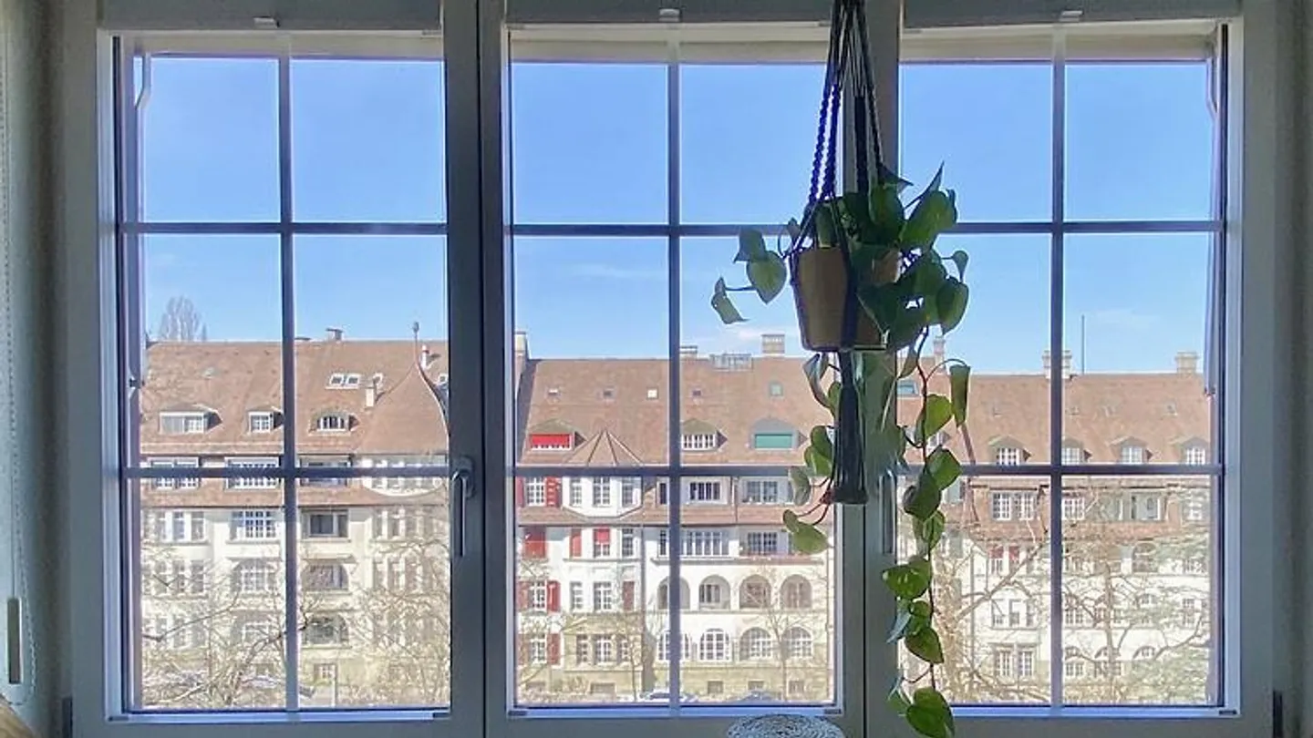 Charmantes Studio in Bern - Foto 10 von 10