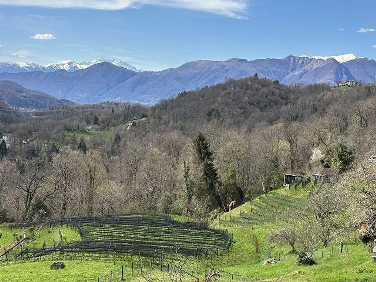 Maison de 4 pièces à rénover avec beaucoup de terrain dans un emplacement très calme et ensoleillé - Photo 8 sur 18