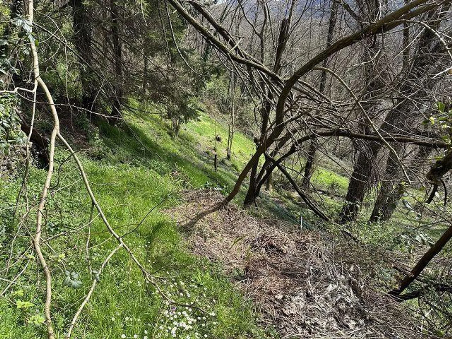 Maison de 4 pièces à rénover avec beaucoup de terrain dans un emplacement très calme et ensoleillé - Photo 9 sur 18