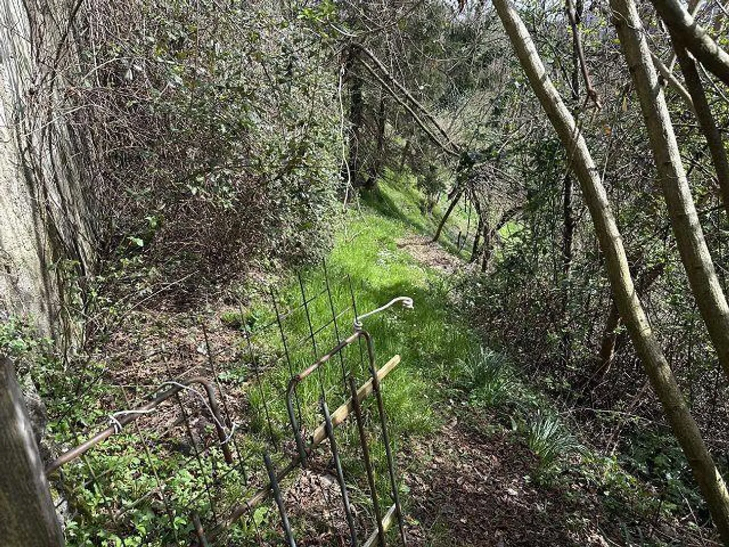 Maison de 4 pièces à rénover avec beaucoup de terrain dans un emplacement très calme et ensoleillé - Photo 11 sur 18