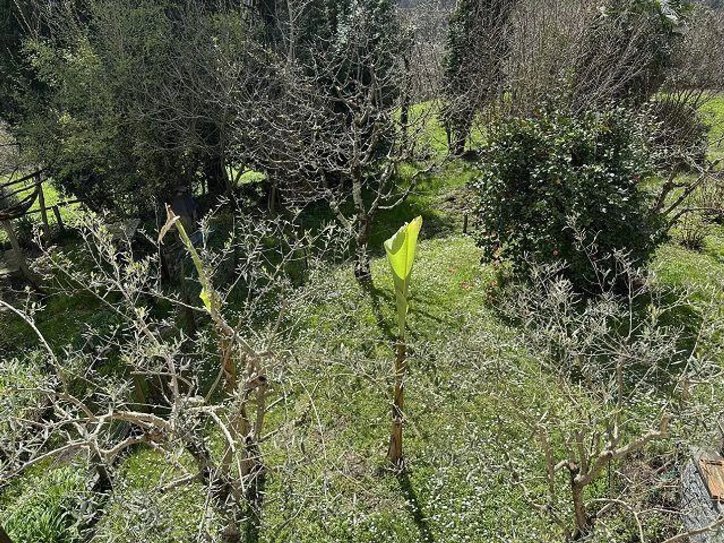 Maison de 4 pièces à rénover avec beaucoup de terrain dans un emplacement très calme et ensoleillé - Photo 13 sur 18