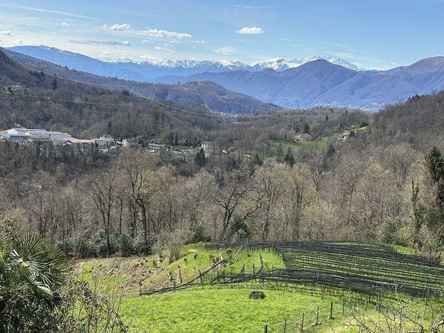 Maison de 4 pièces à rénover avec beaucoup de terrain dans un emplacement très calme et ensoleillé - Photo 15 sur 18