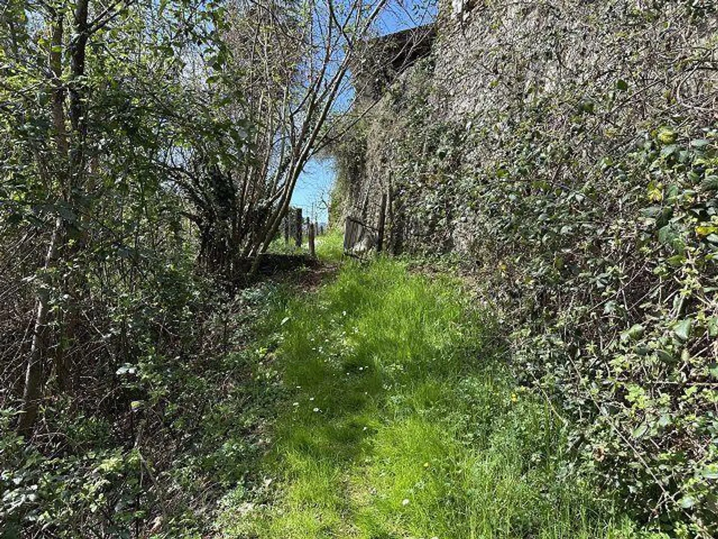 Maison de 4 pièces à rénover avec beaucoup de terrain dans un emplacement très calme et ensoleillé - Photo 16 sur 18