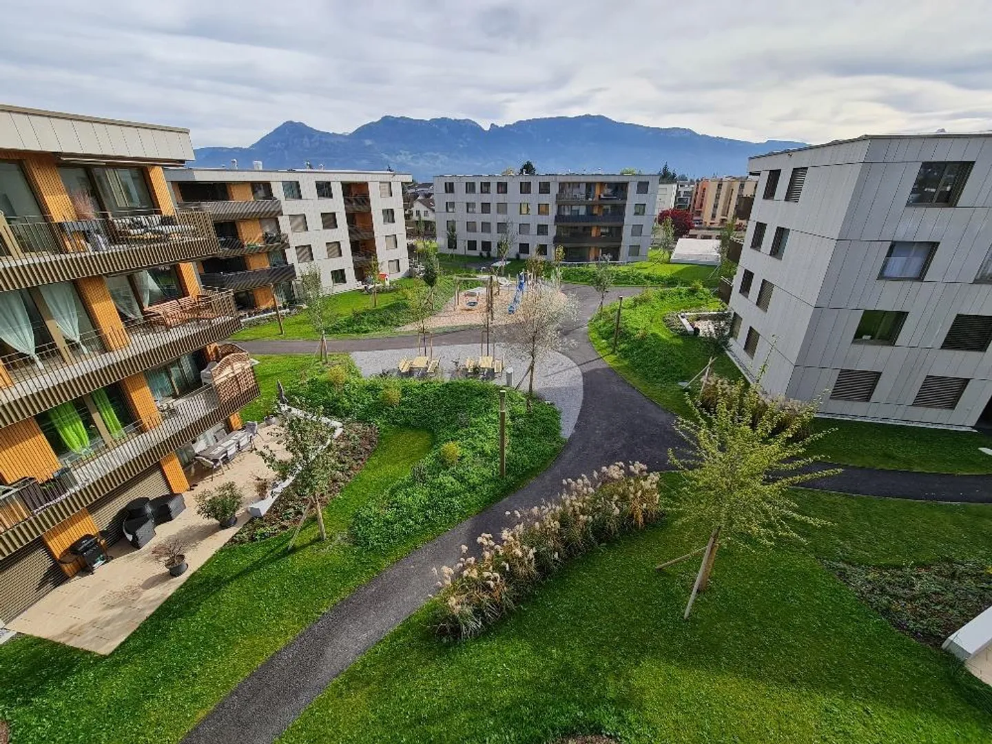 Sole pomeridiano/serale, vista nel verde - Foto 8 di 8