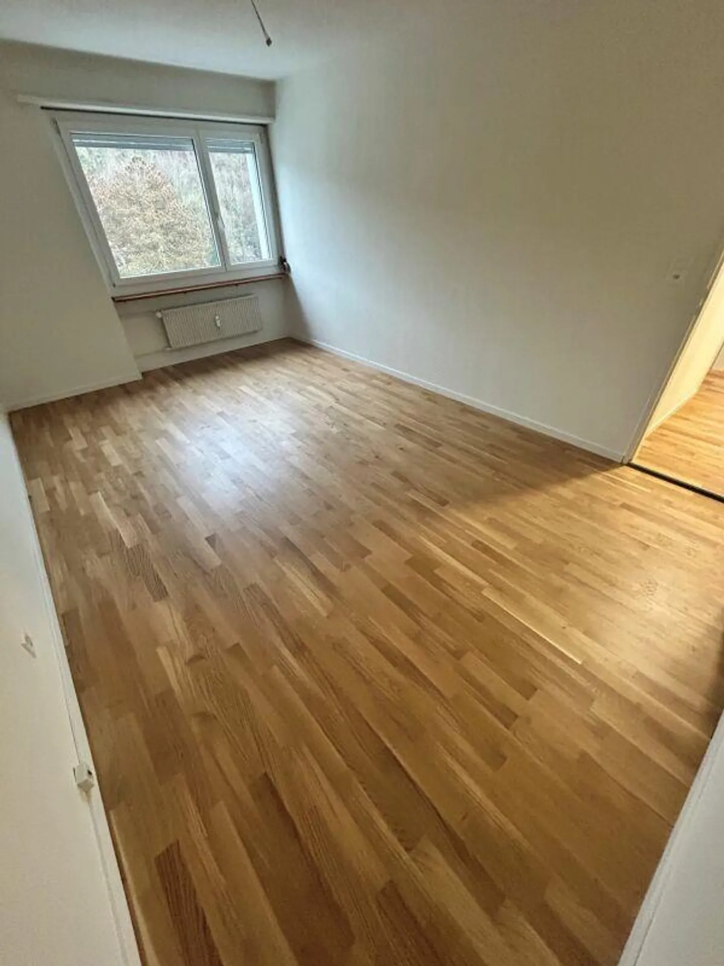 Renovated 4-Room Apartment - Photo 8 of 13