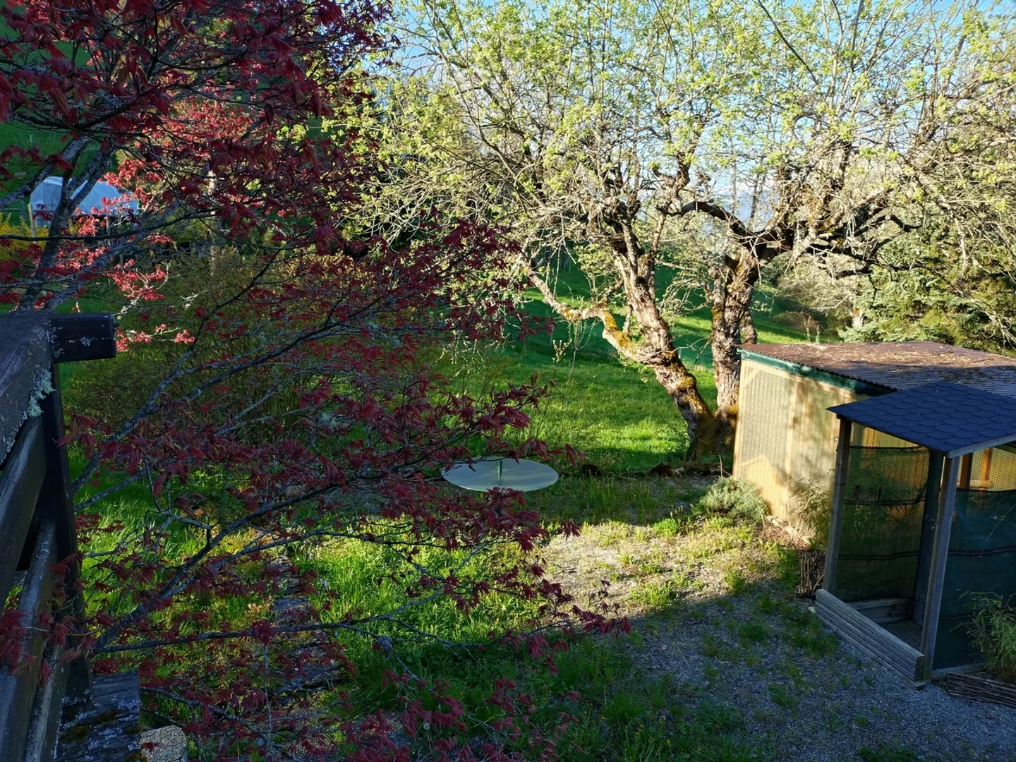 PLAMBUIT - Detached house with garden for rent - Photo 15 of 17