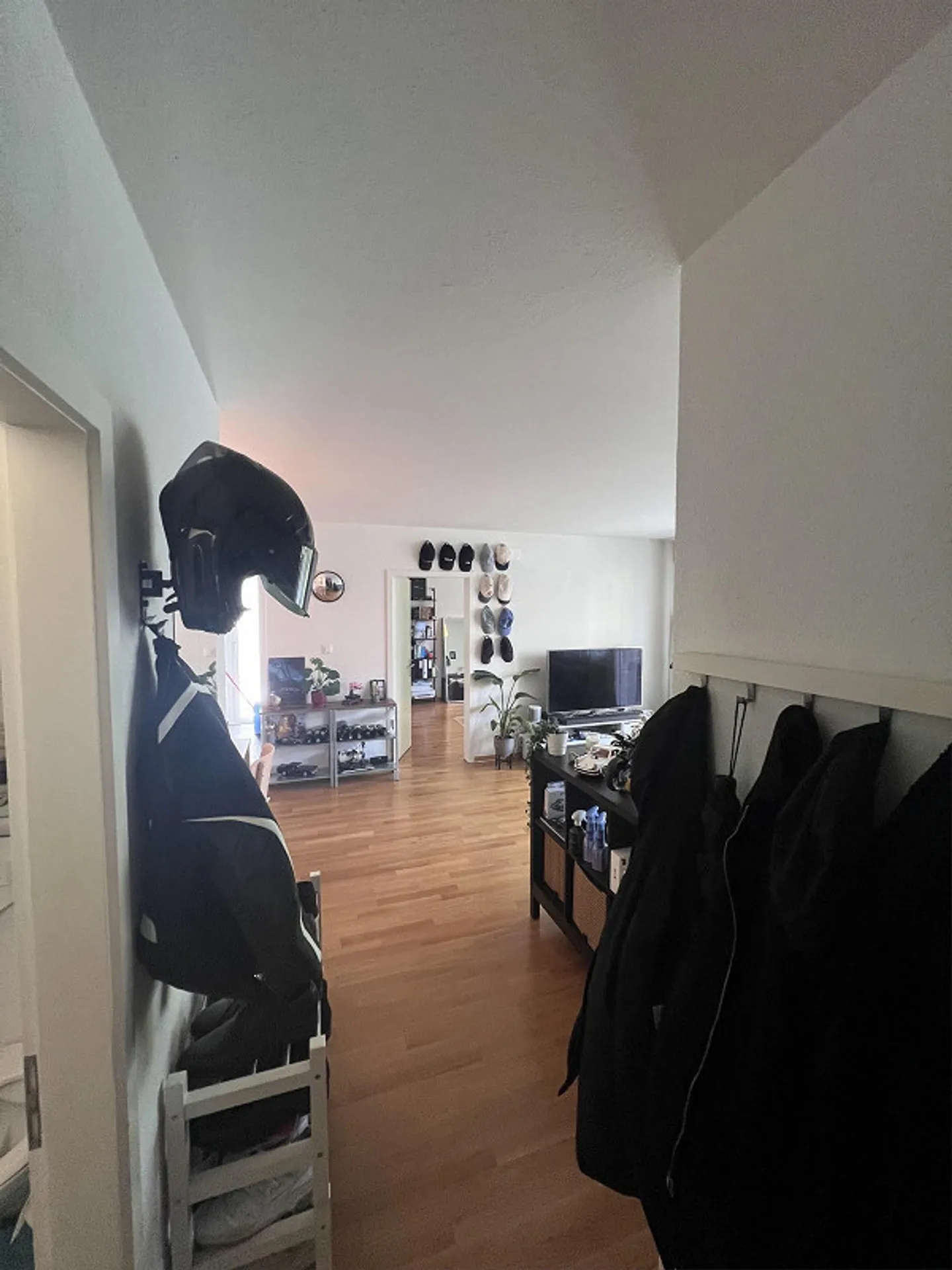 Möbliertes Apartment in Bern - Foto 3 von 12