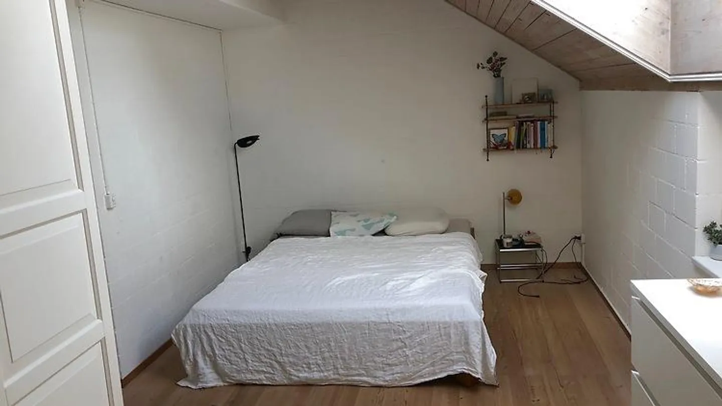 APPARTAMENTO MAISONETTE 4½ STANZE A EMMEN (LU), ARREDATO, TEMPORANEO - Foto 5 di 10