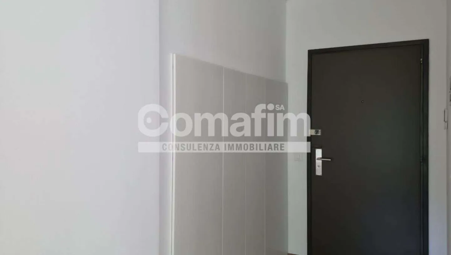 Appartement lumineux de 3,5 pièces à louer à Lugano-Loreto - Photo 2 sur 12