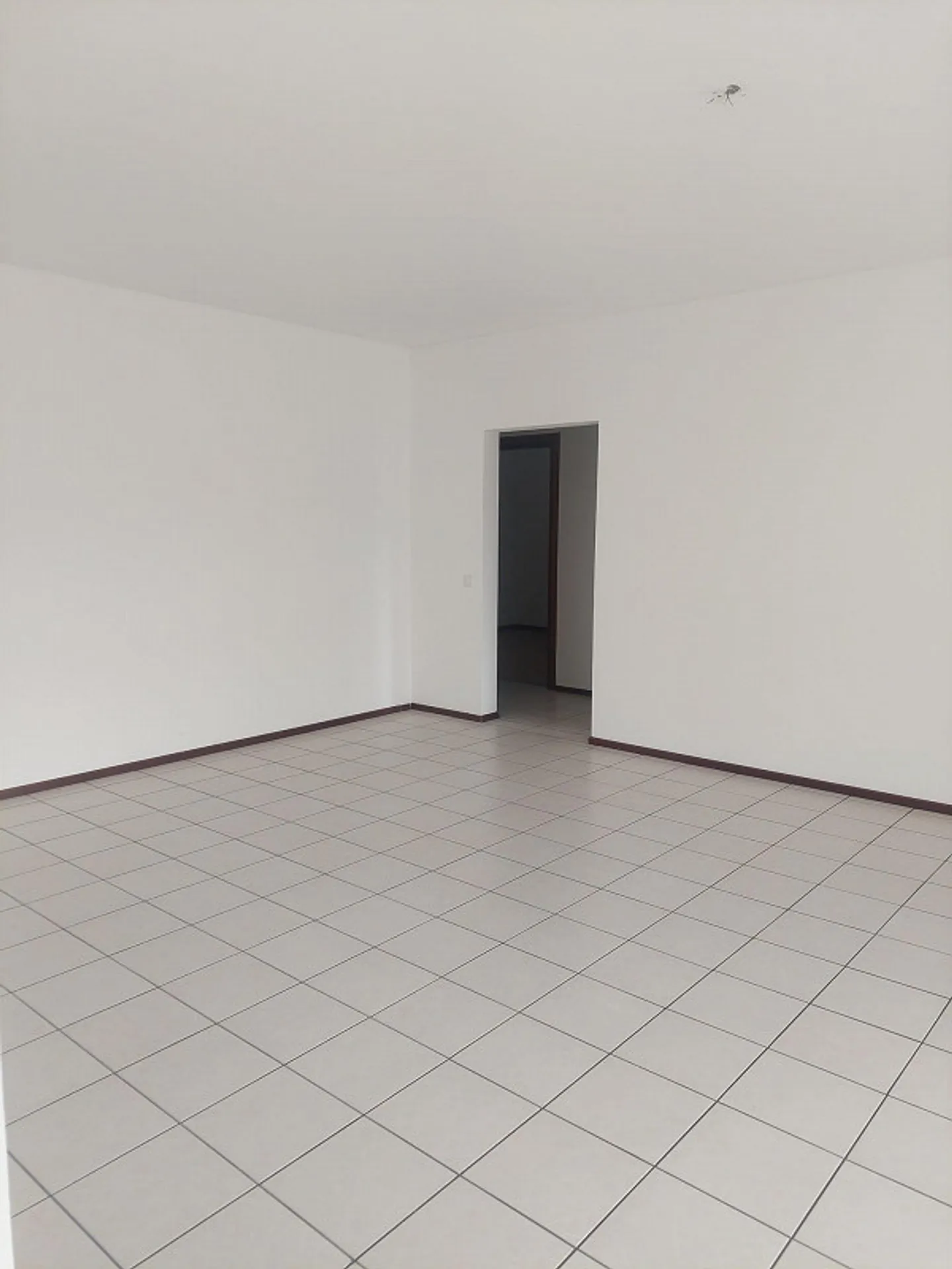 Geräumige Wohnung in Coldrerio - Foto 4 von 11
