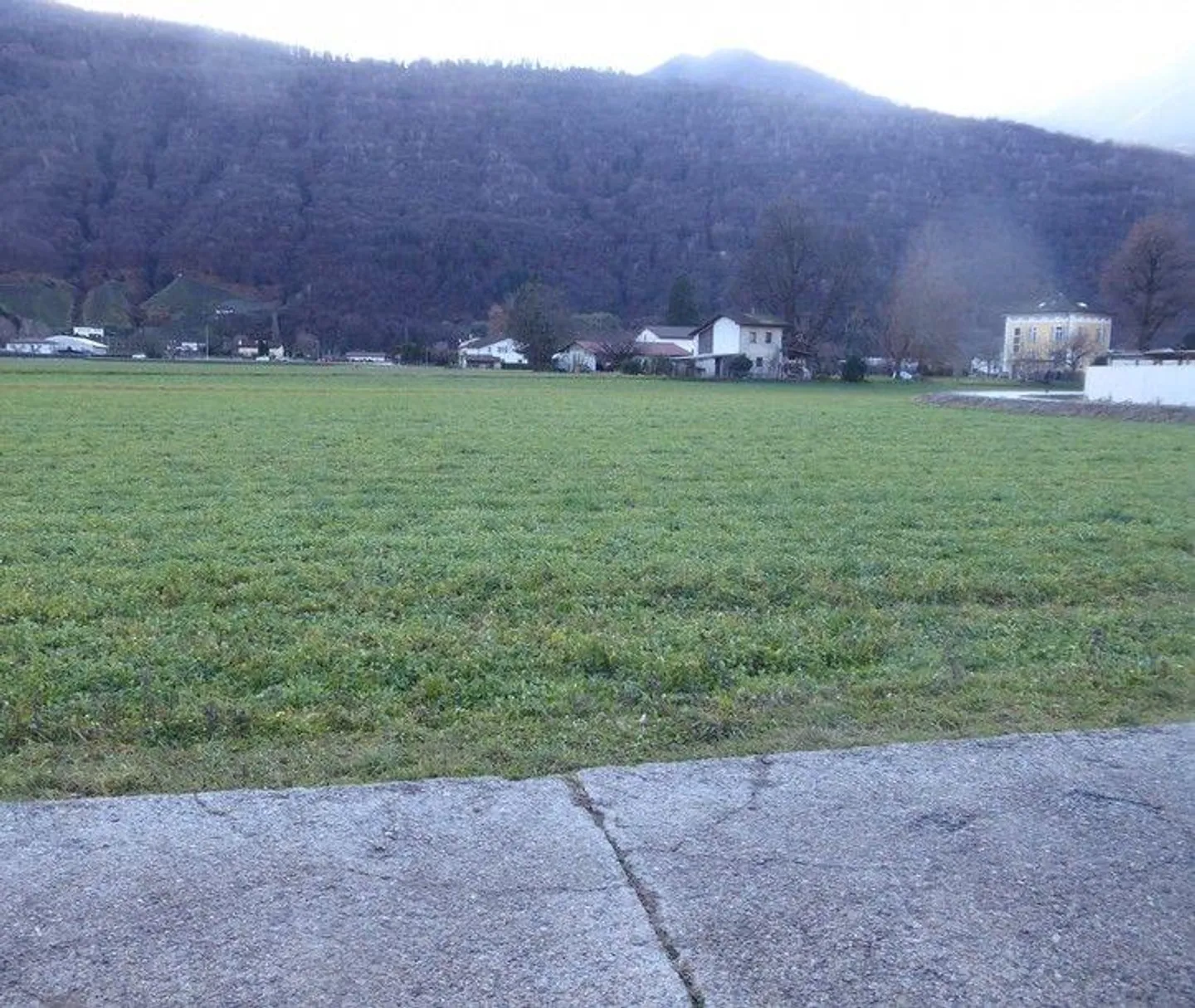 *Bosco, prato/campo* - Photo 1 sur 13