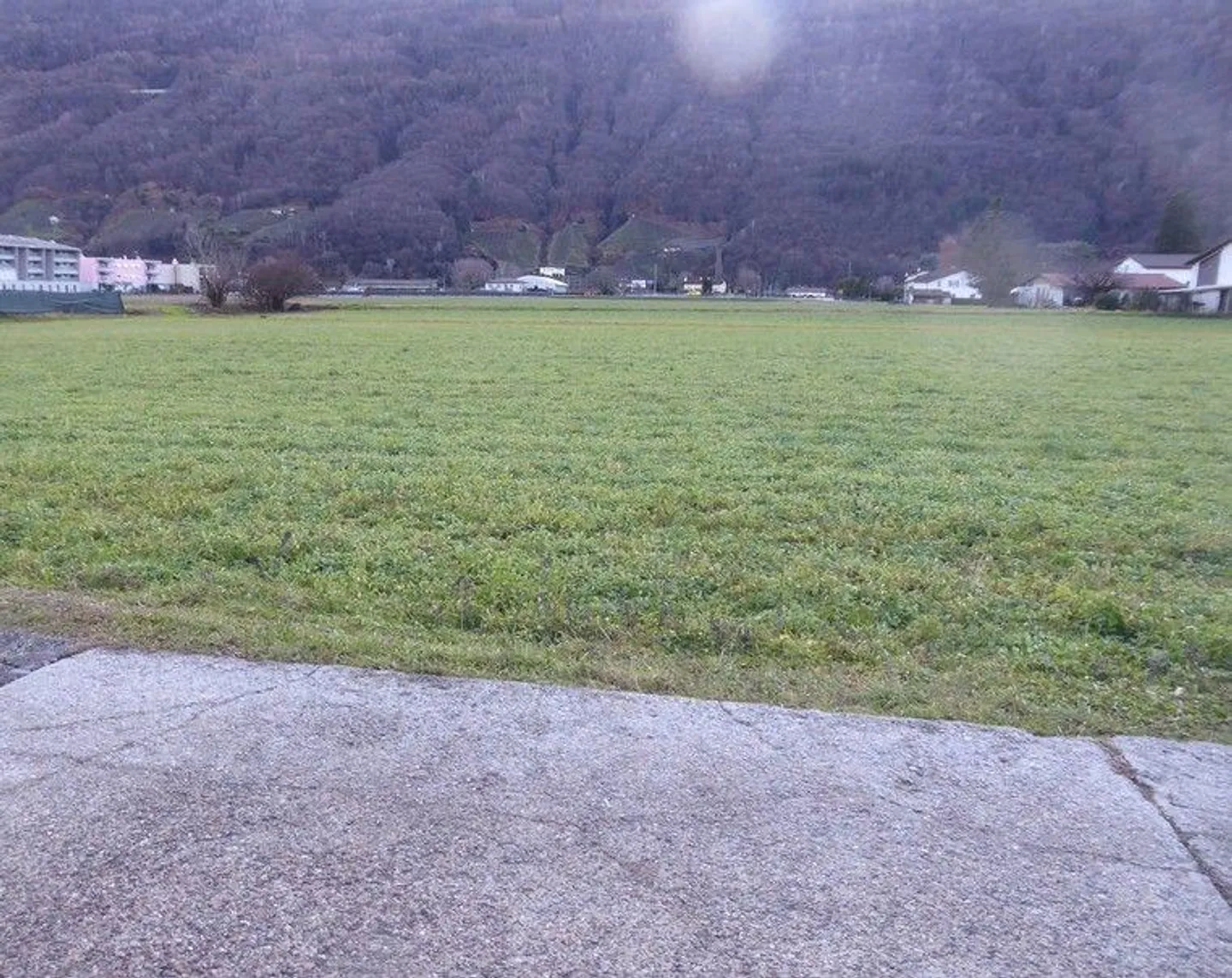 *Bosco, prato/campo* - Photo 2 sur 13