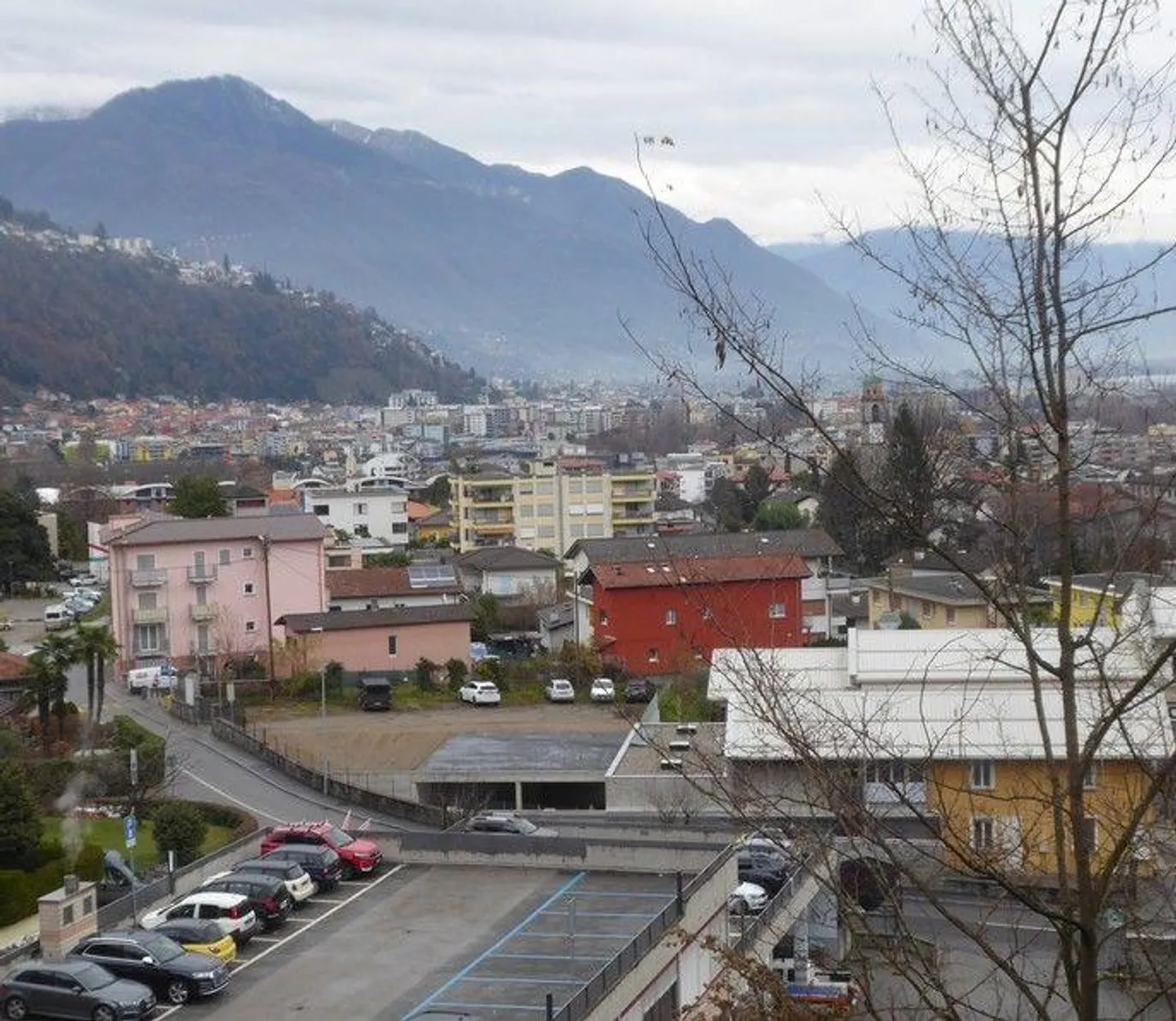 *Bosco, prato/campo* - Photo 4 sur 13
