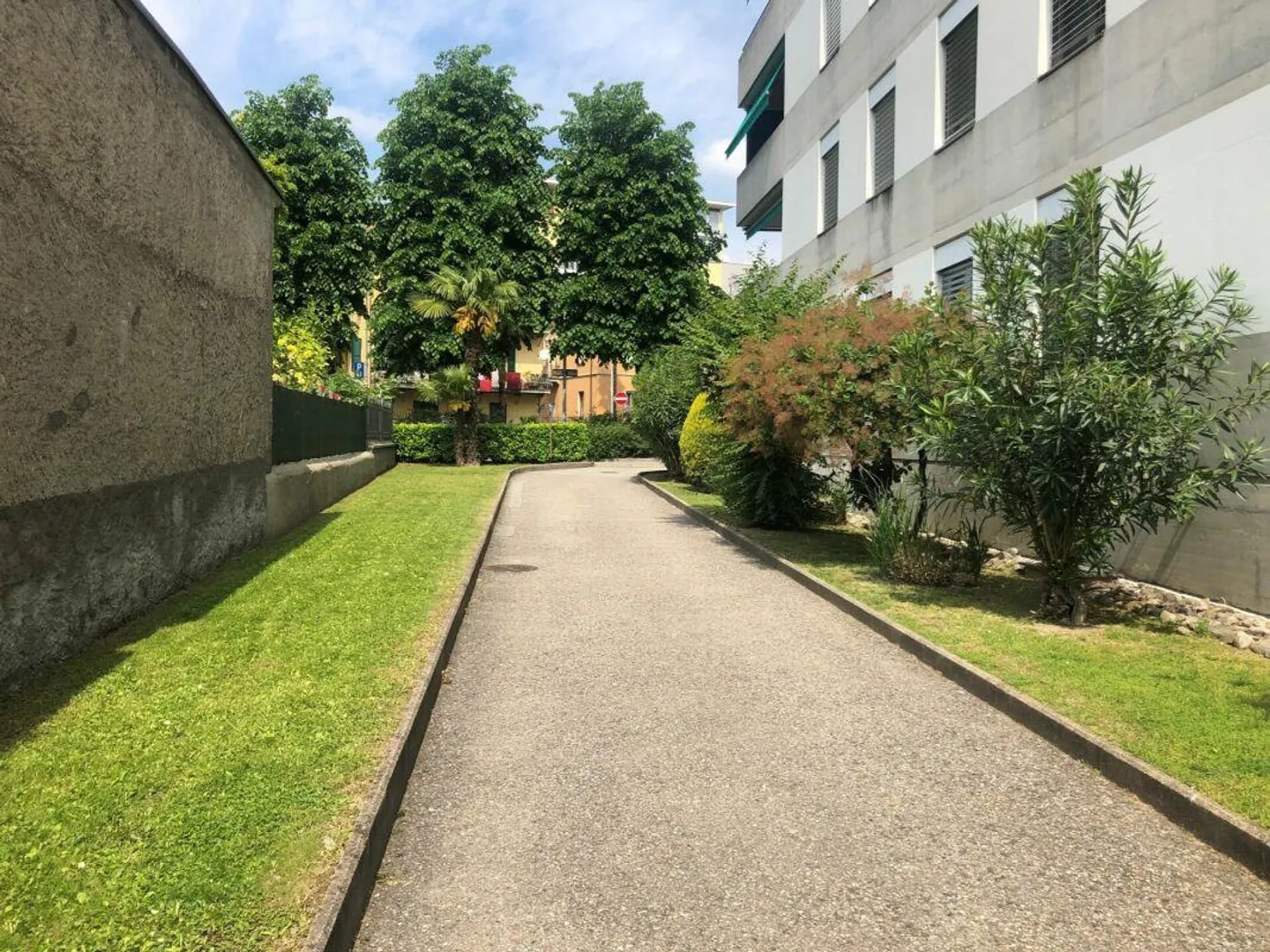 Rinnovato e centrale appartamenti di 3.5 locali affittato - Foto 7 di 11