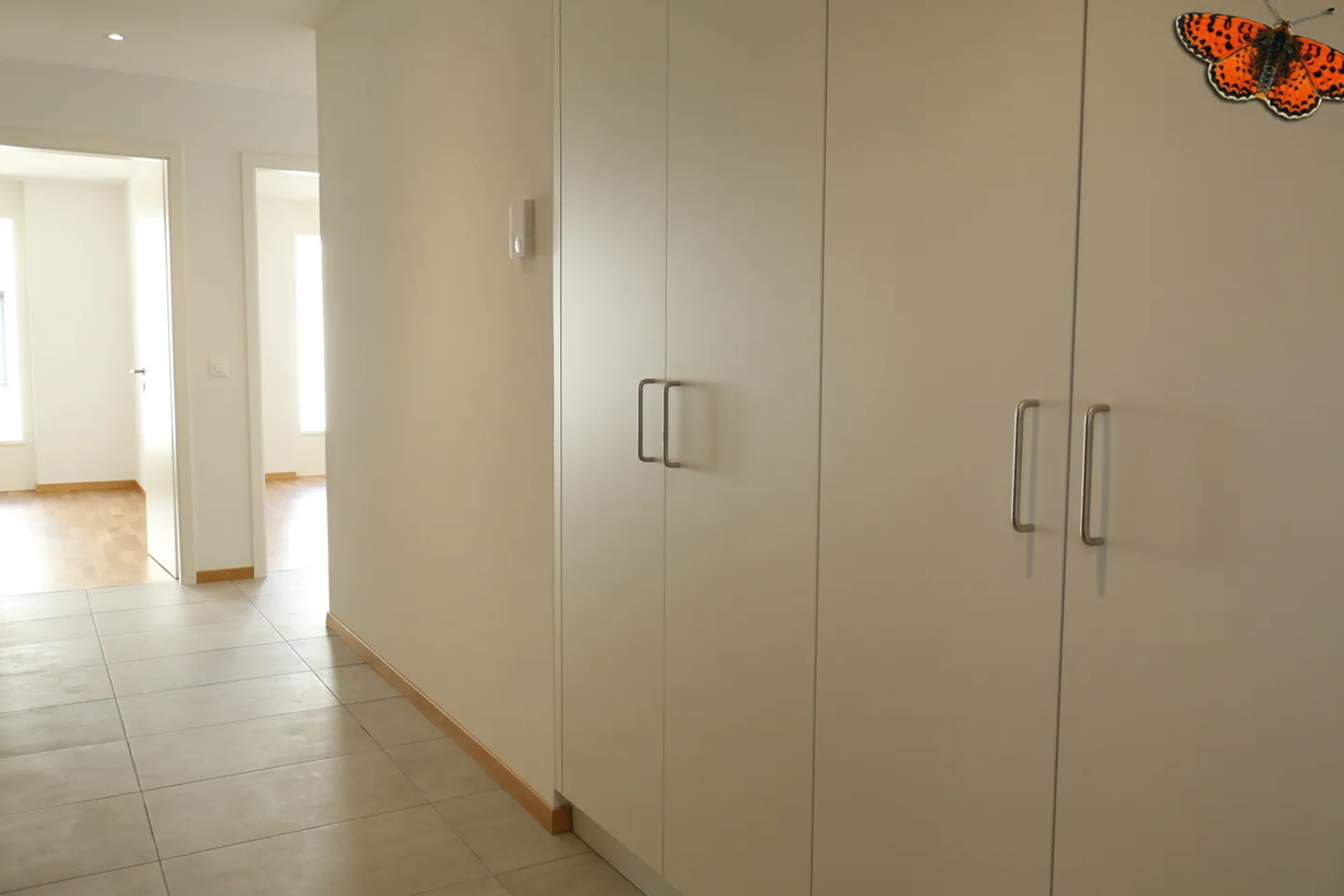 3.5 Room Apartment - Photo 3 of 10