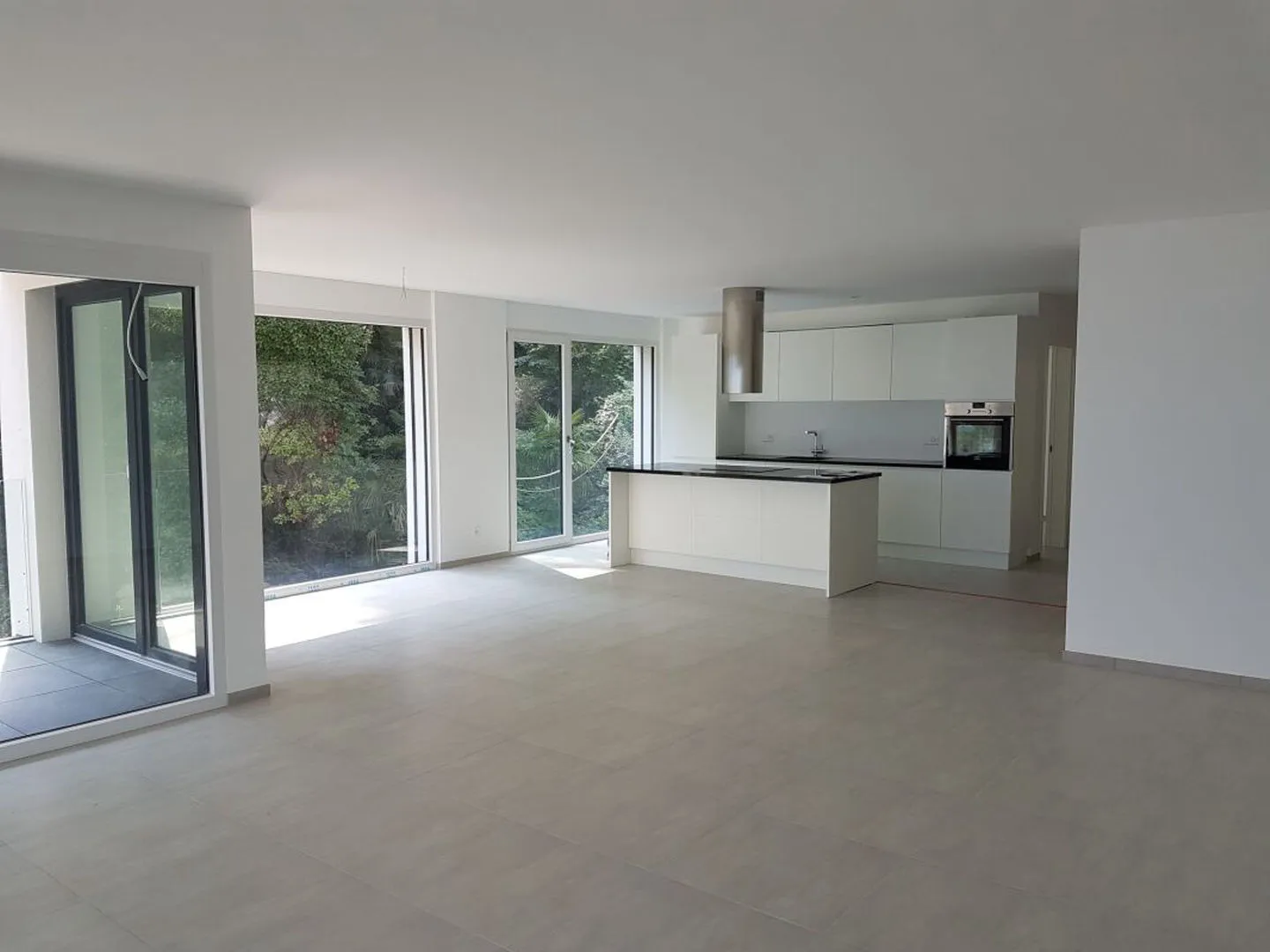3 1/2 Room Apartment with Terrace and View of Lake Maggiore - Photo 6 of 9