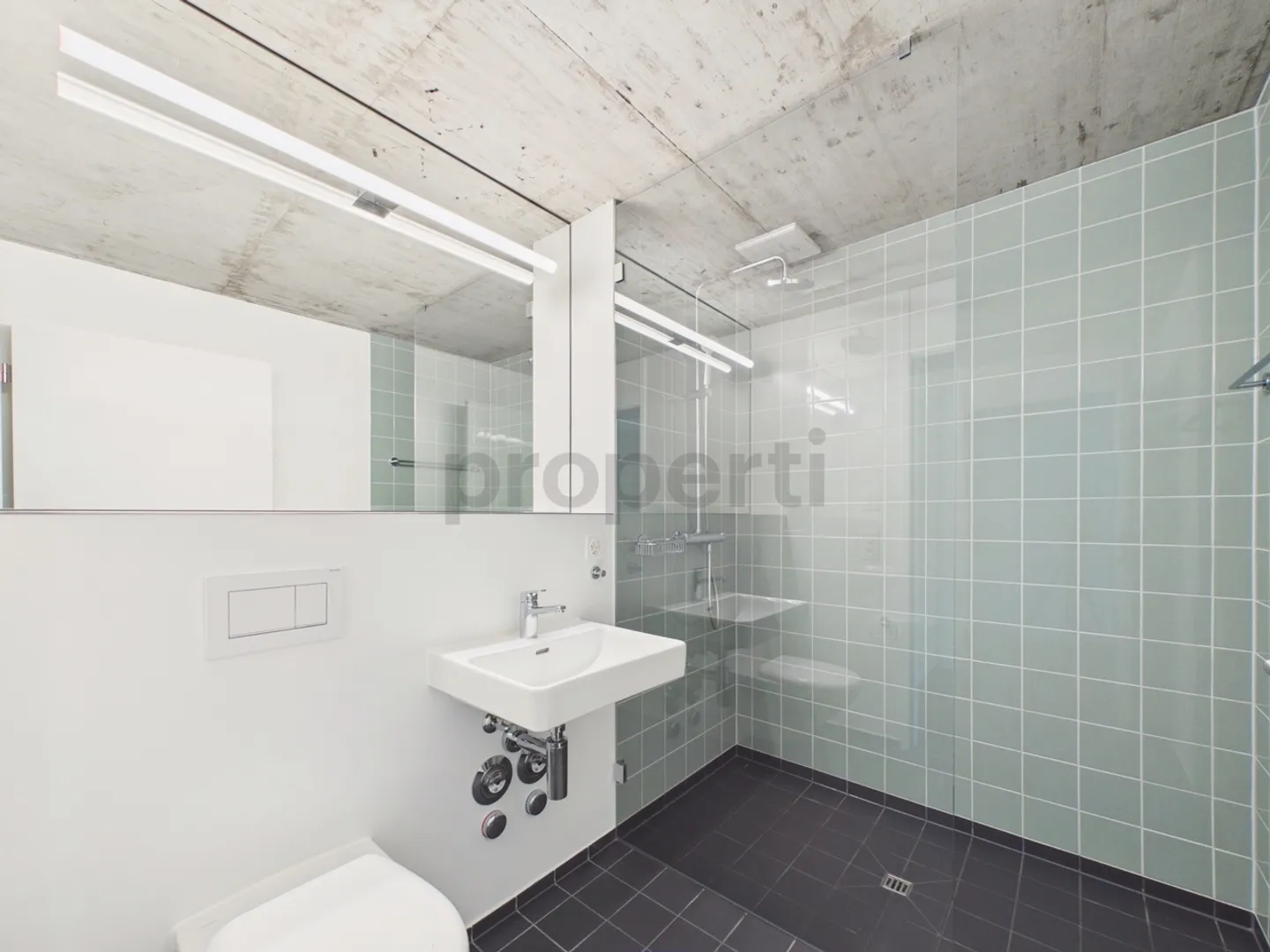 Modern Apartment in Therwil - Photo 12 of 13