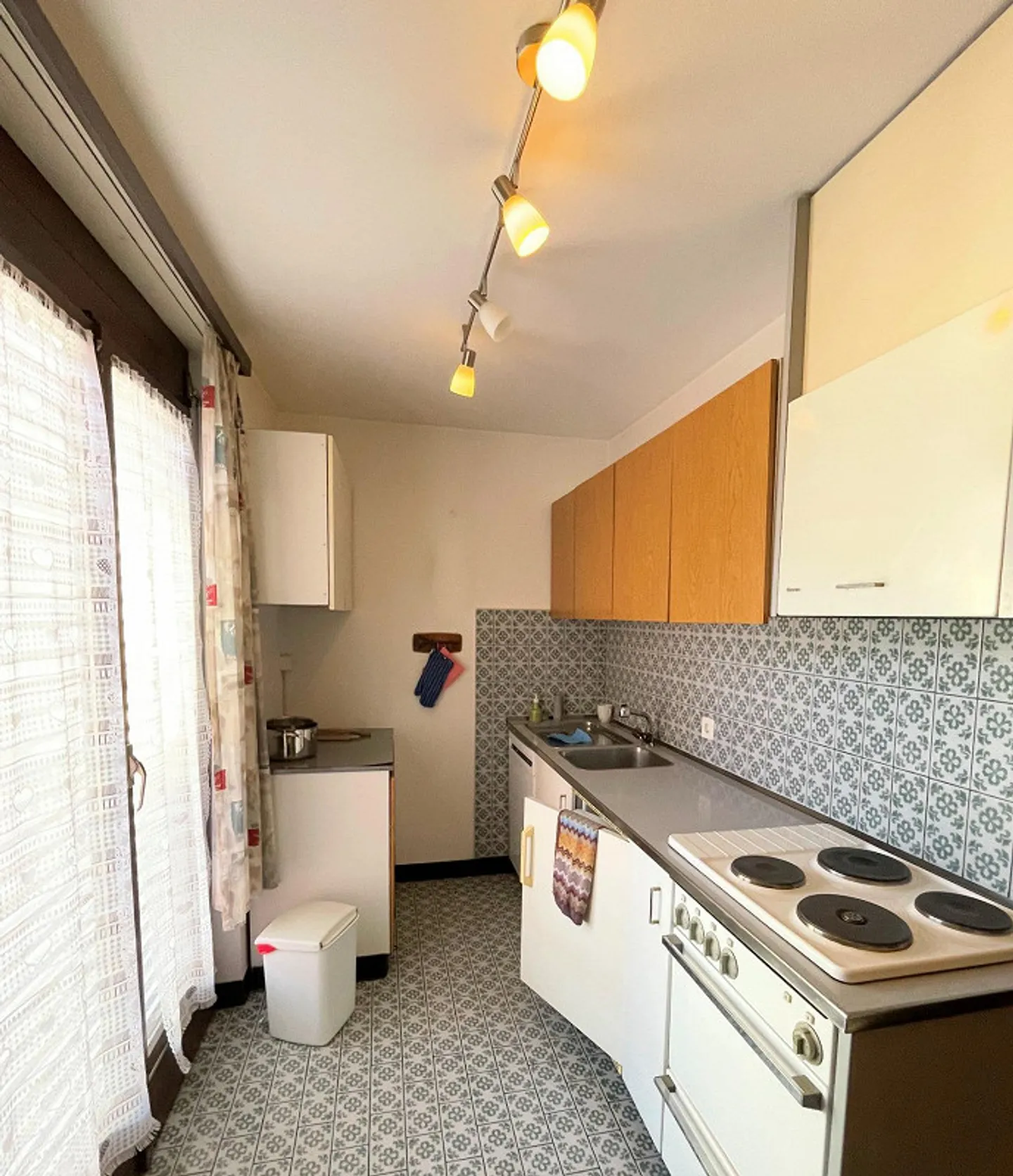 Appartamento duplex + appartamento a reddito + negozio - Foto 5 di 12
