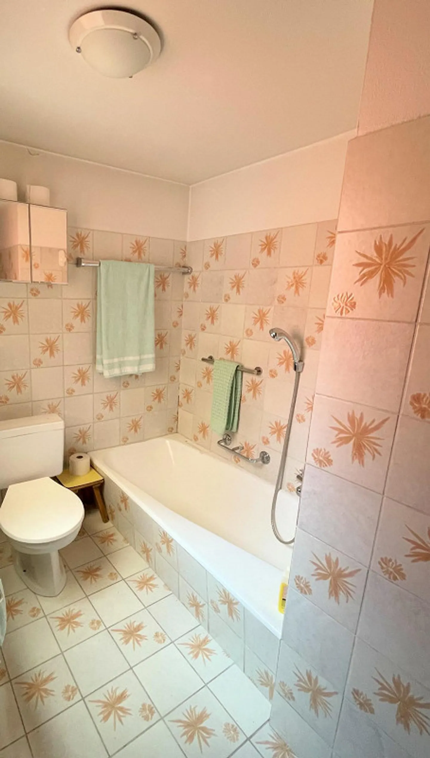 Appartamento duplex + appartamento a reddito + negozio - Foto 9 di 12