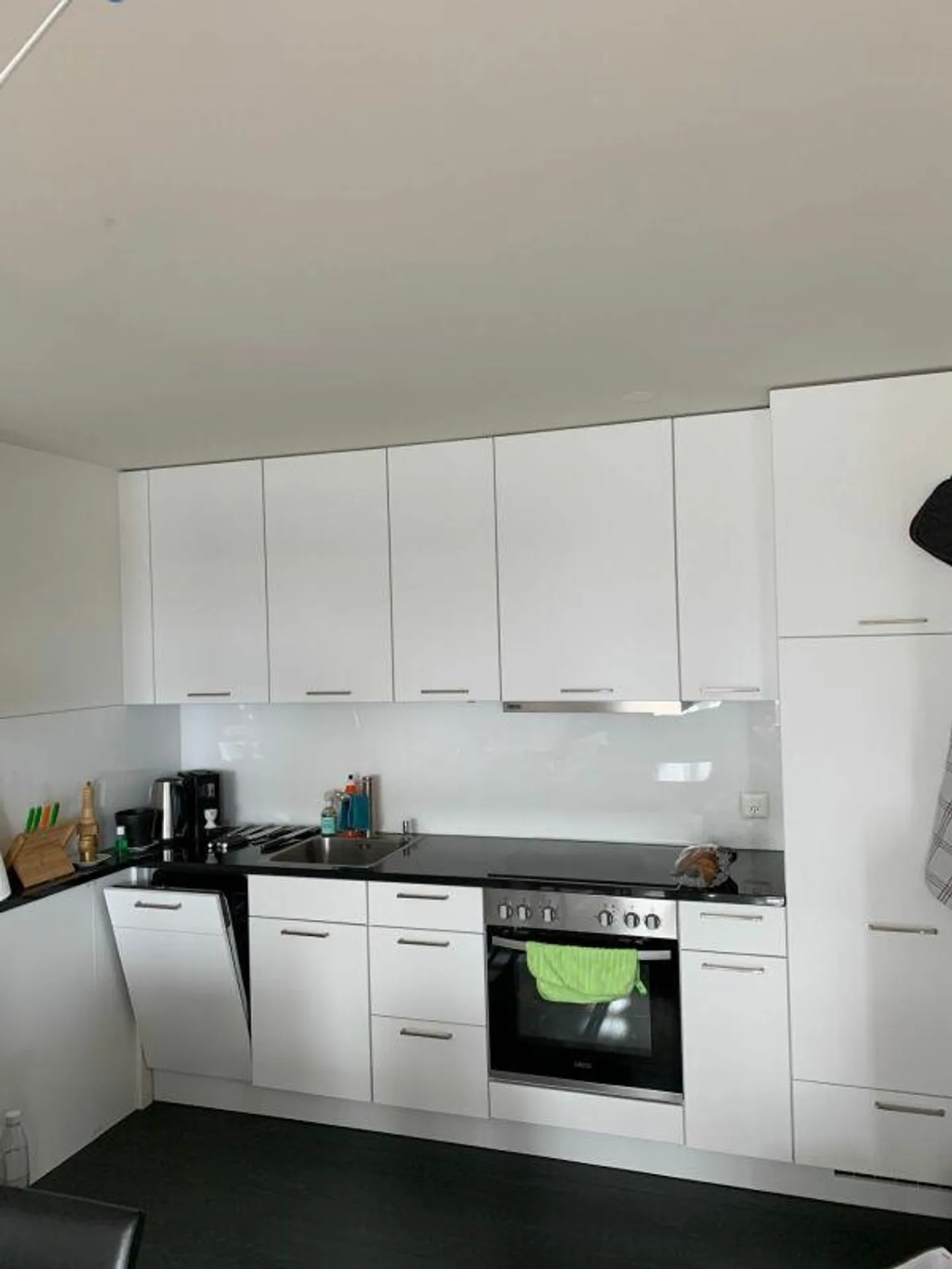 MODERN APARTMENT LAYOUT WITH GREAT INFRASTRUCTURE - Photo 2 of 6