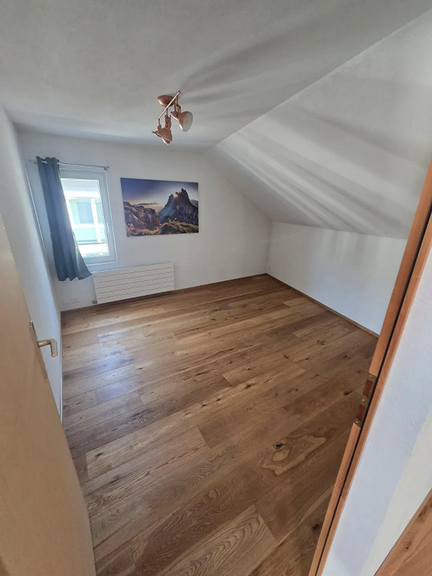 Roommate wanted for new shared apartment in beautiful 2-story flat. - Photo 6 of 12