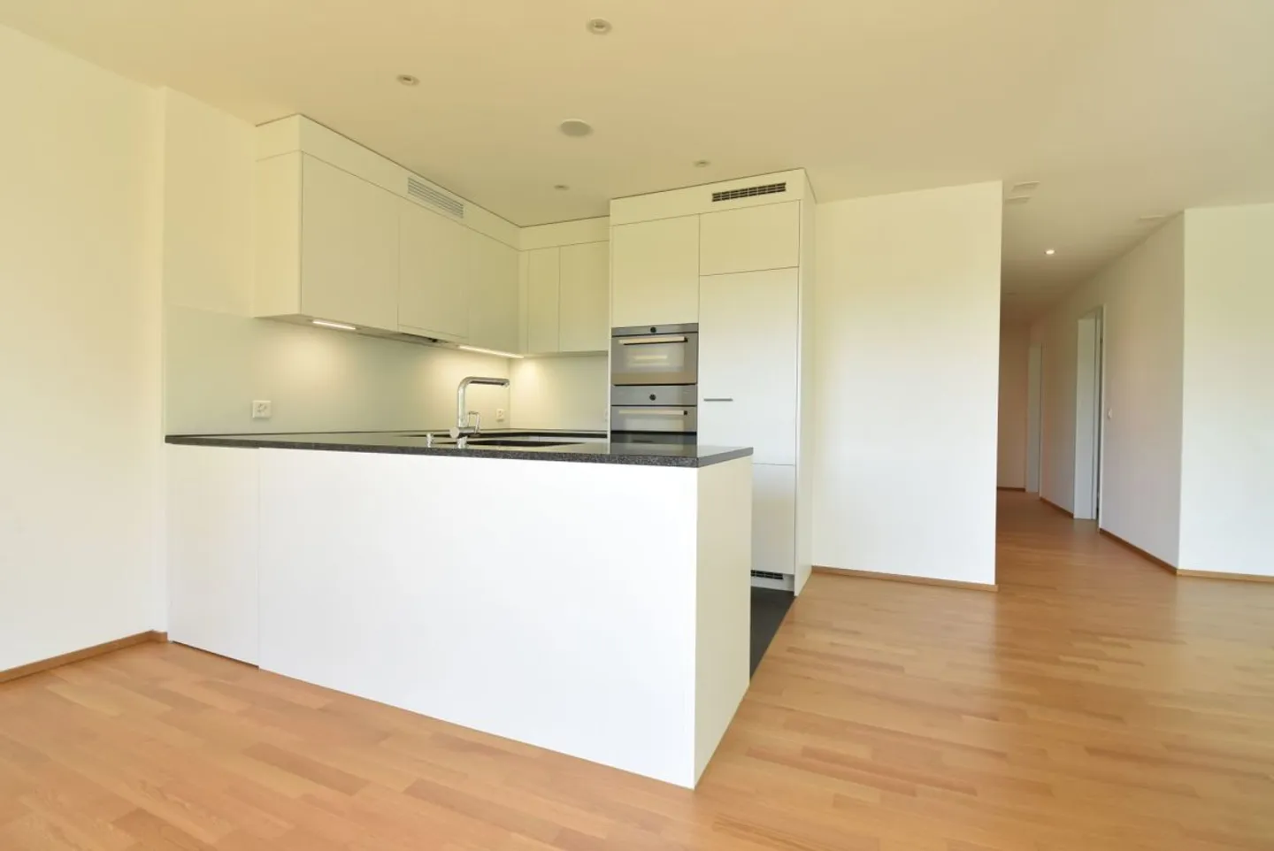 Jewelry piece with a view of the greenery and the Alpstein massif - Photo 6 of 13