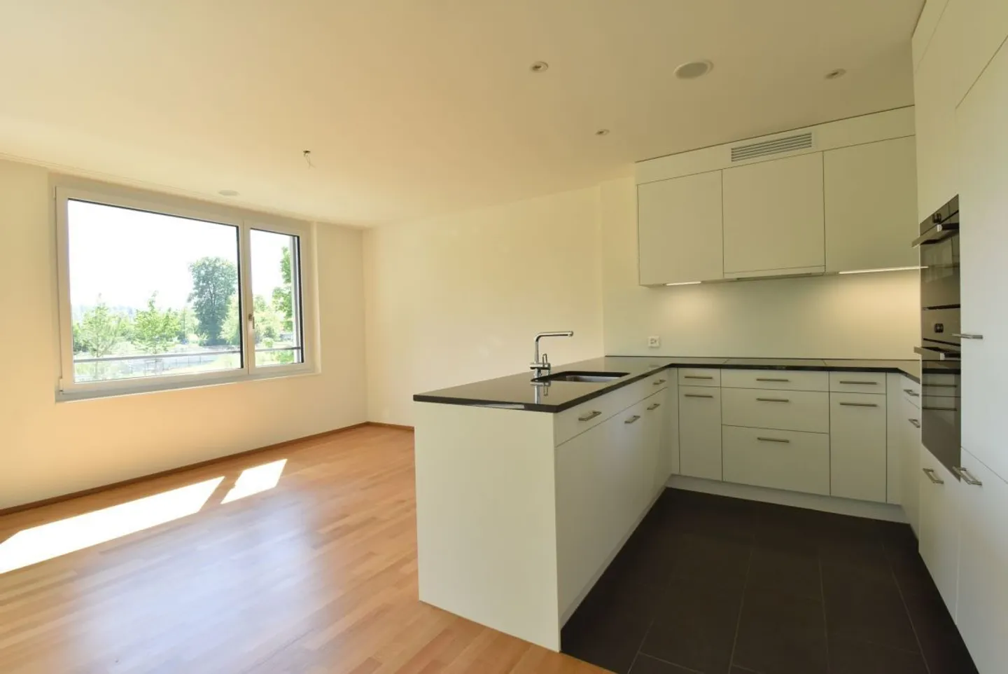 Jewelry piece with a view of the greenery and the Alpstein massif - Photo 7 of 13