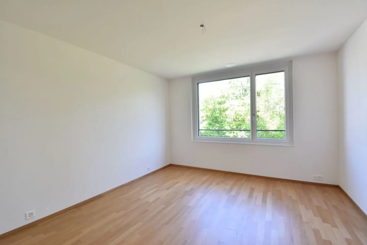 Jewelry piece with a view of the greenery and the Alpstein massif - Photo 8 of 13