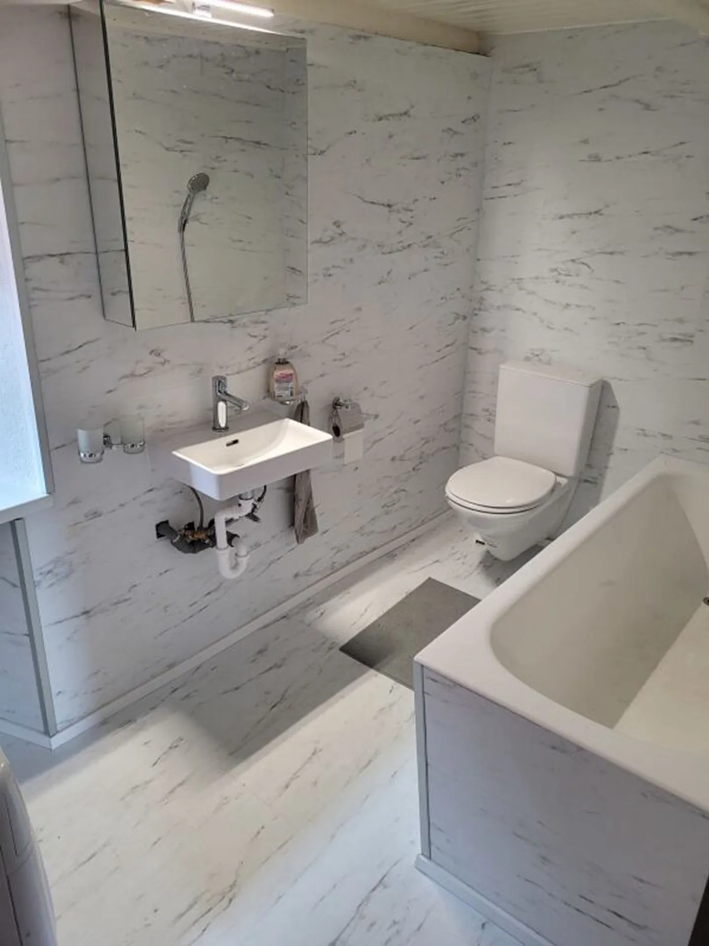 Two - 4 ½ Room House, Garden, and Magnificent Lake View - Photo 9 of 9