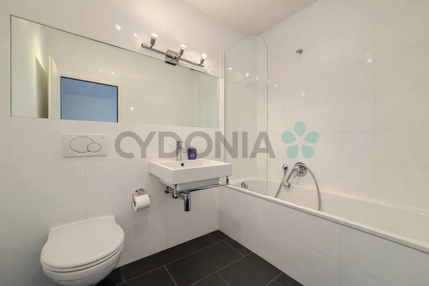 Duplex-Penthouse a Plan-les-Ouates - Foto 9 di 9