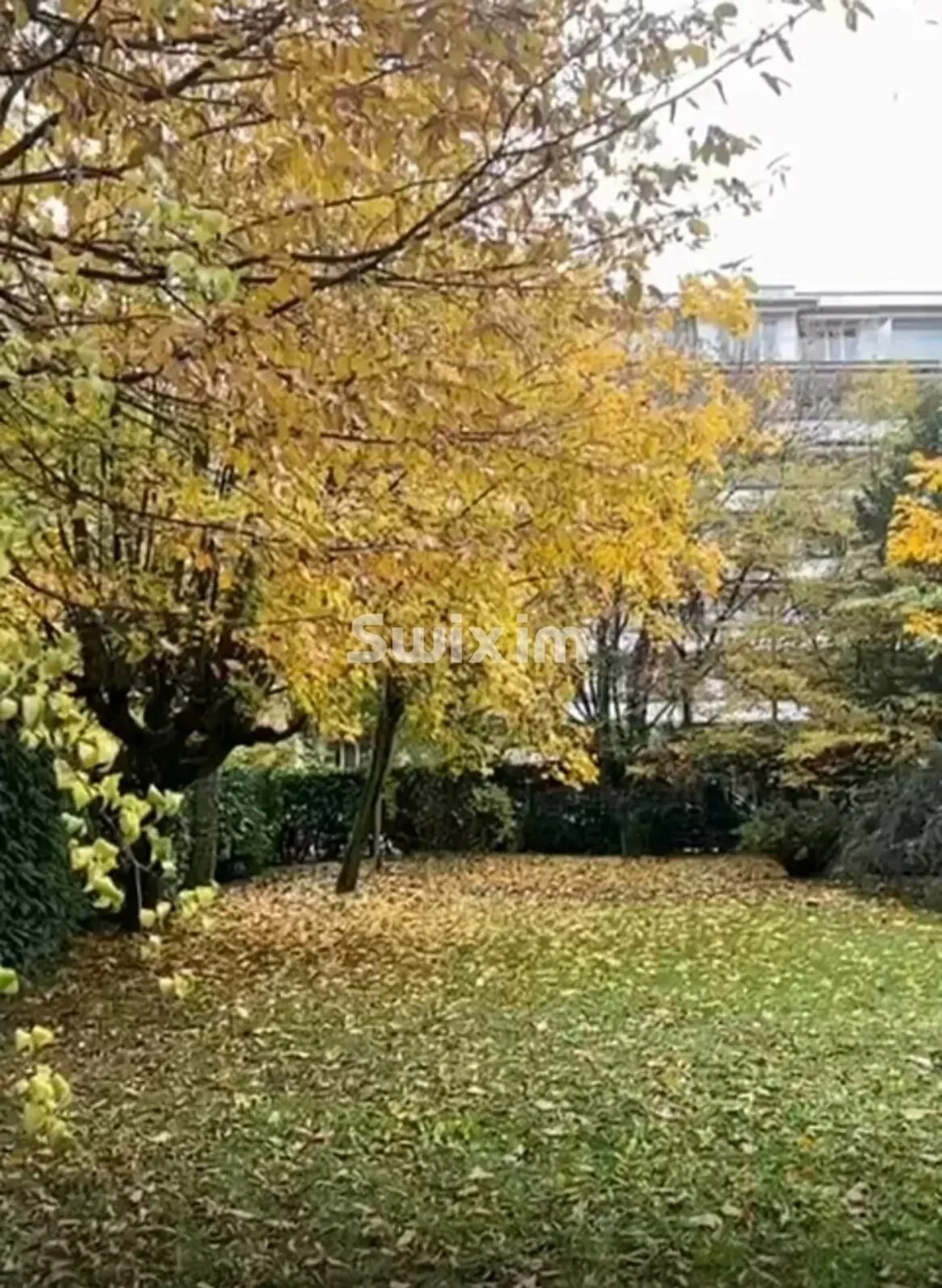 4-Zimmer-Wohnung mit Garten in Champel - Foto 1 von 2
