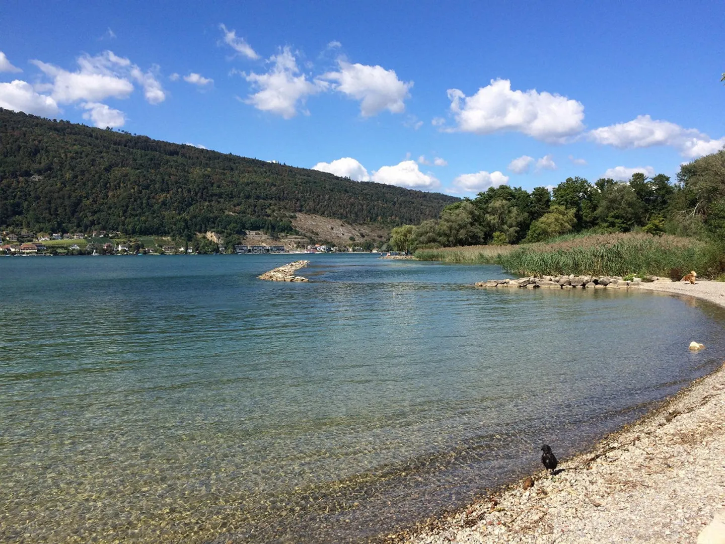 Spacious 2.5-Room Penthouse Apartment (90 m2) Near the Lake - Photo 16 of 17