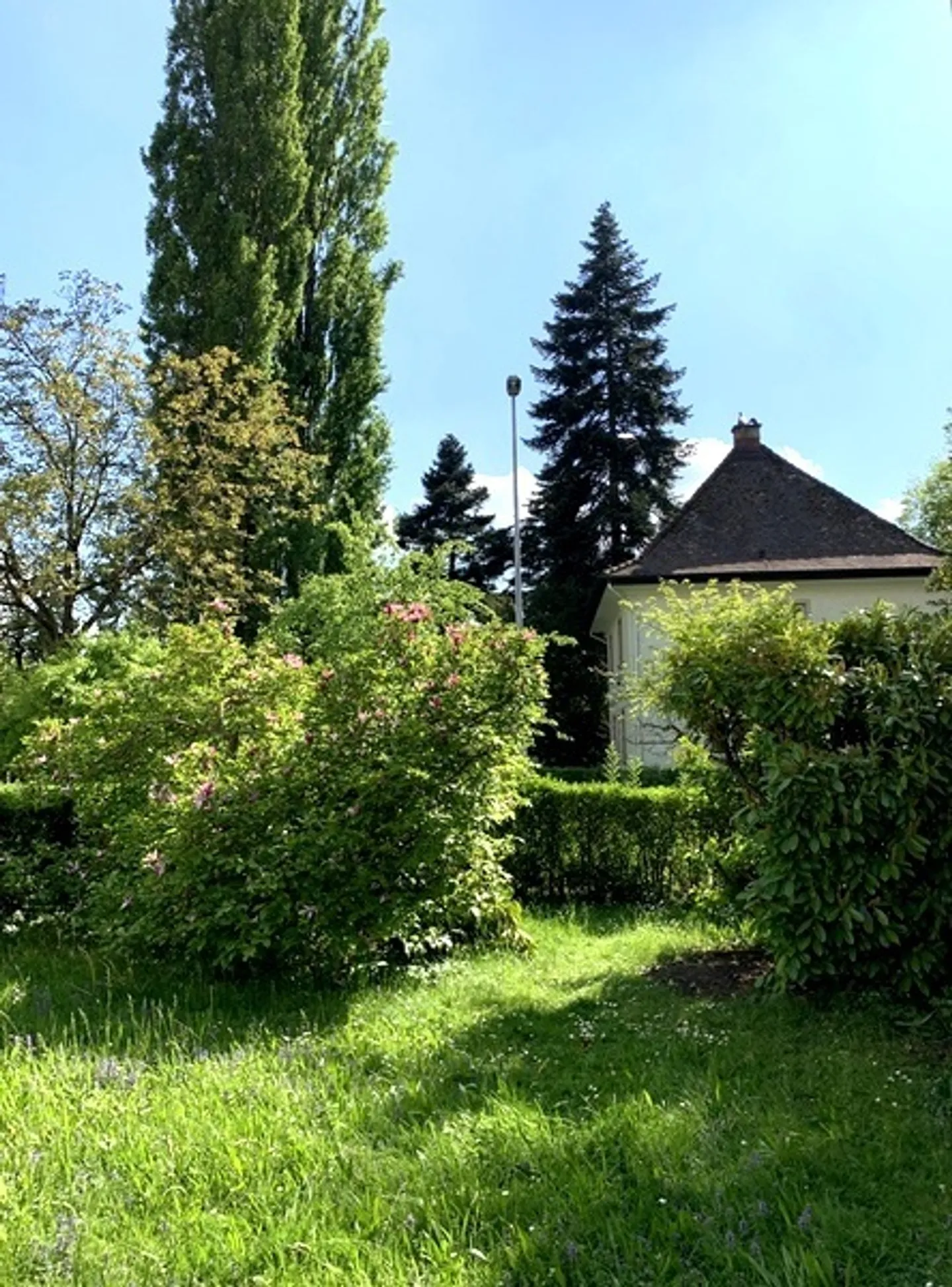 APPARTAMENTO DI 3 LOCALI A WETTINGEN (AG), ARREDATO, TEMPORANEO - Foto 8 di 8