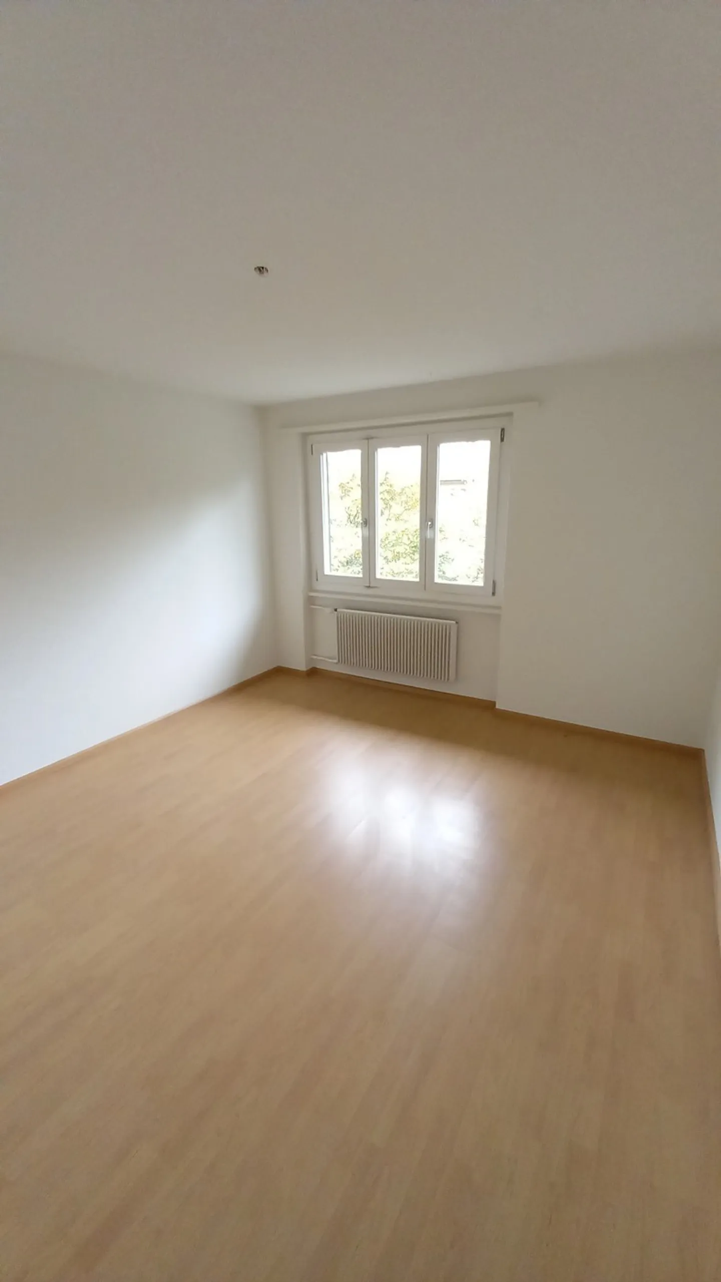 Wunderschöne Wohnung in Oensingen! - Foto 5 von 6