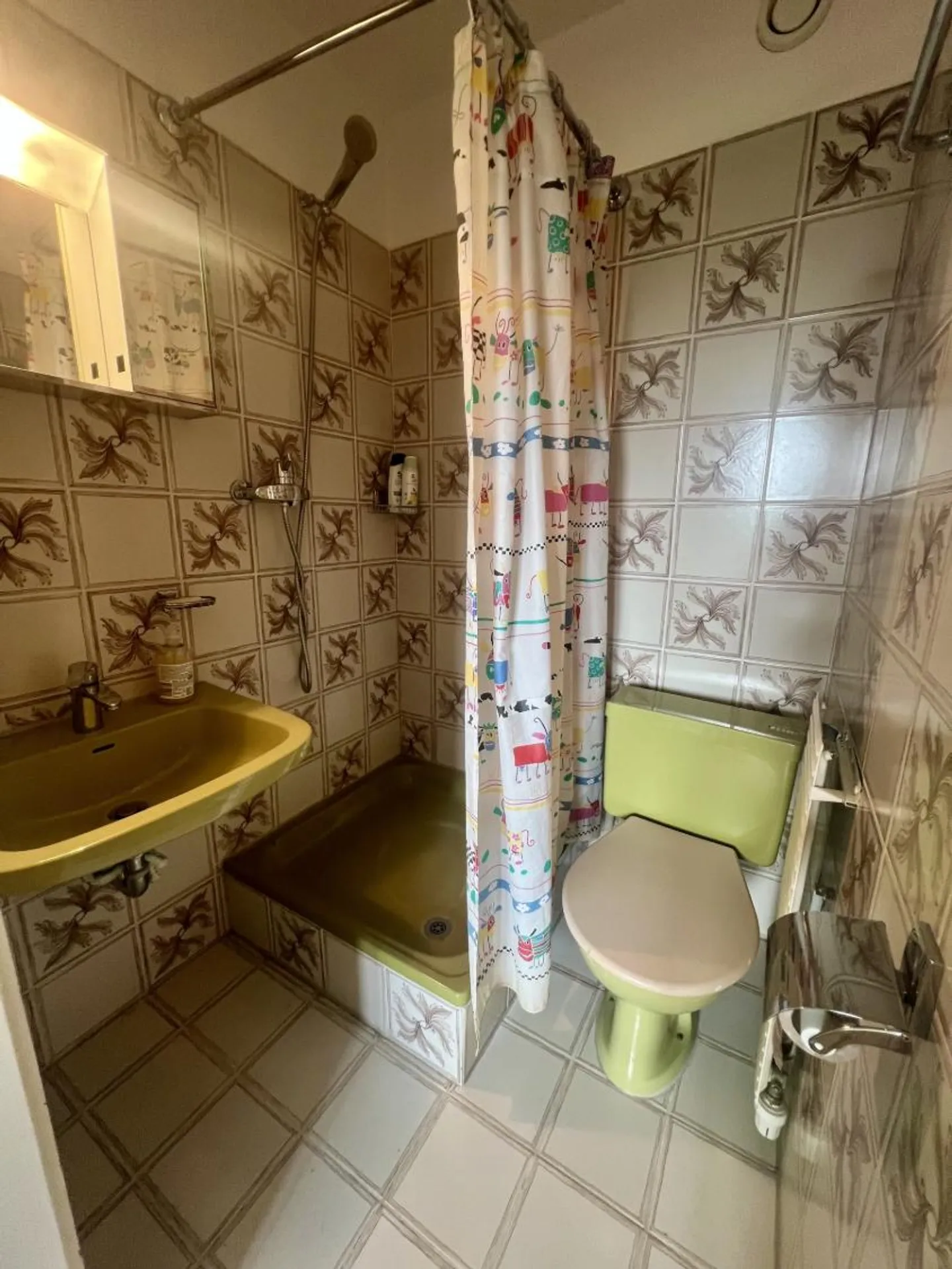 2.5 room apartment for winter season - Photo 7 of 7
