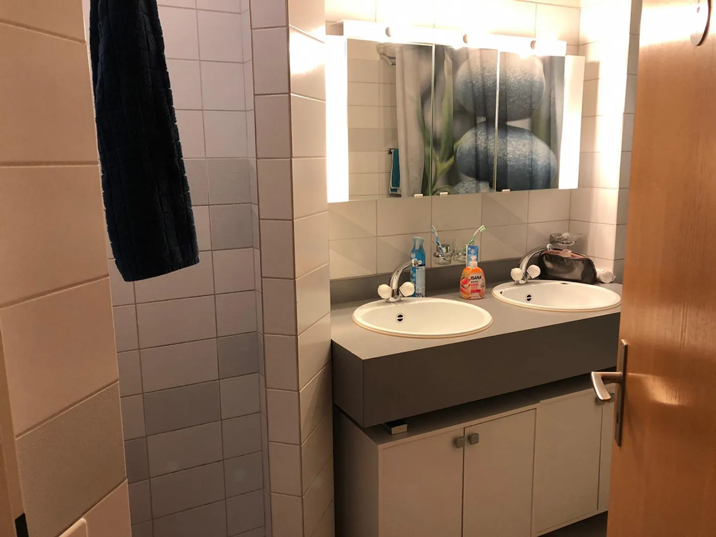 Appartamento Giardino Birsfelden - Foto 6 di 9