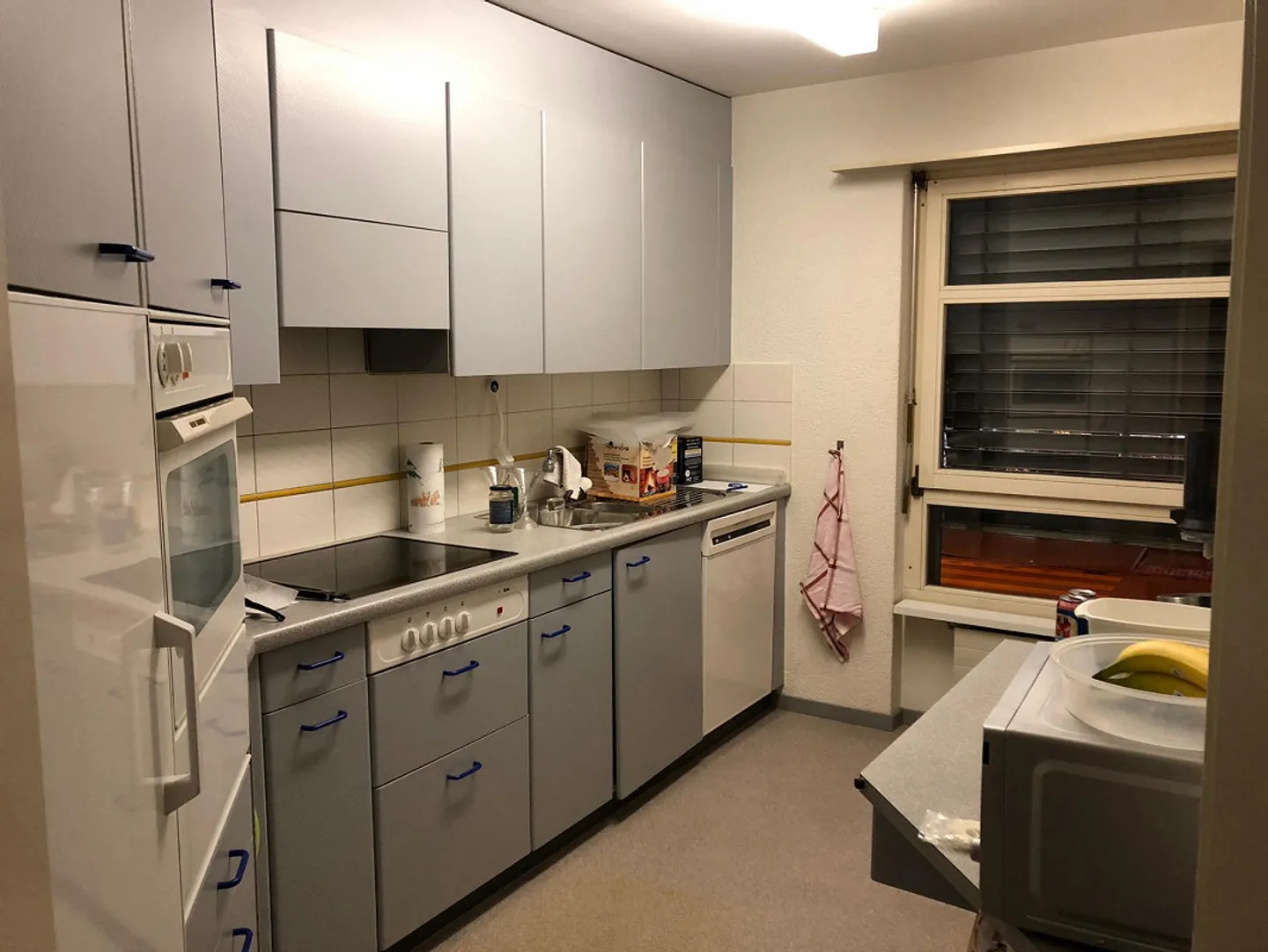 Appartamento Giardino Birsfelden - Foto 7 di 9