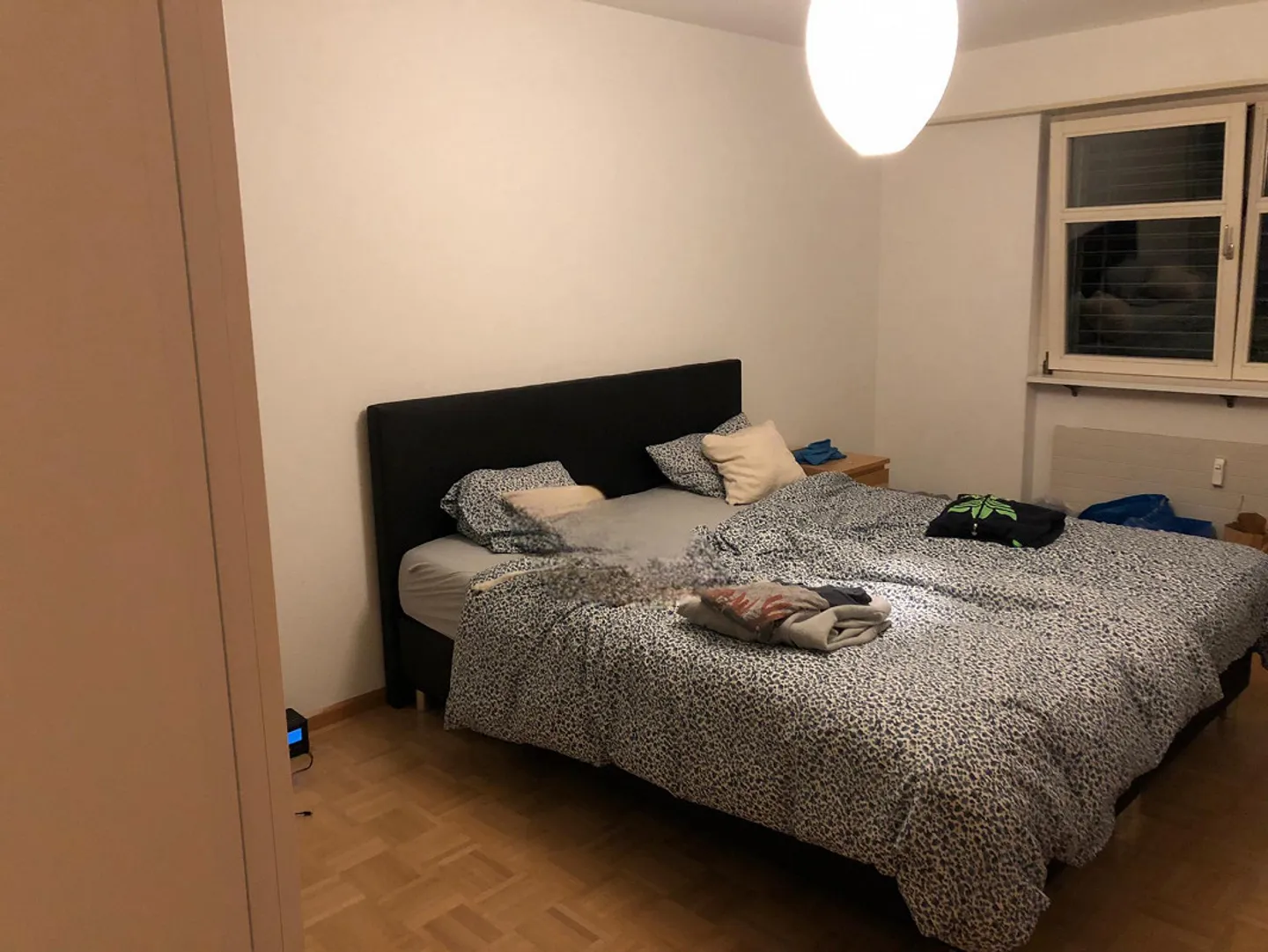 Appartamento Giardino Birsfelden - Foto 3 di 9