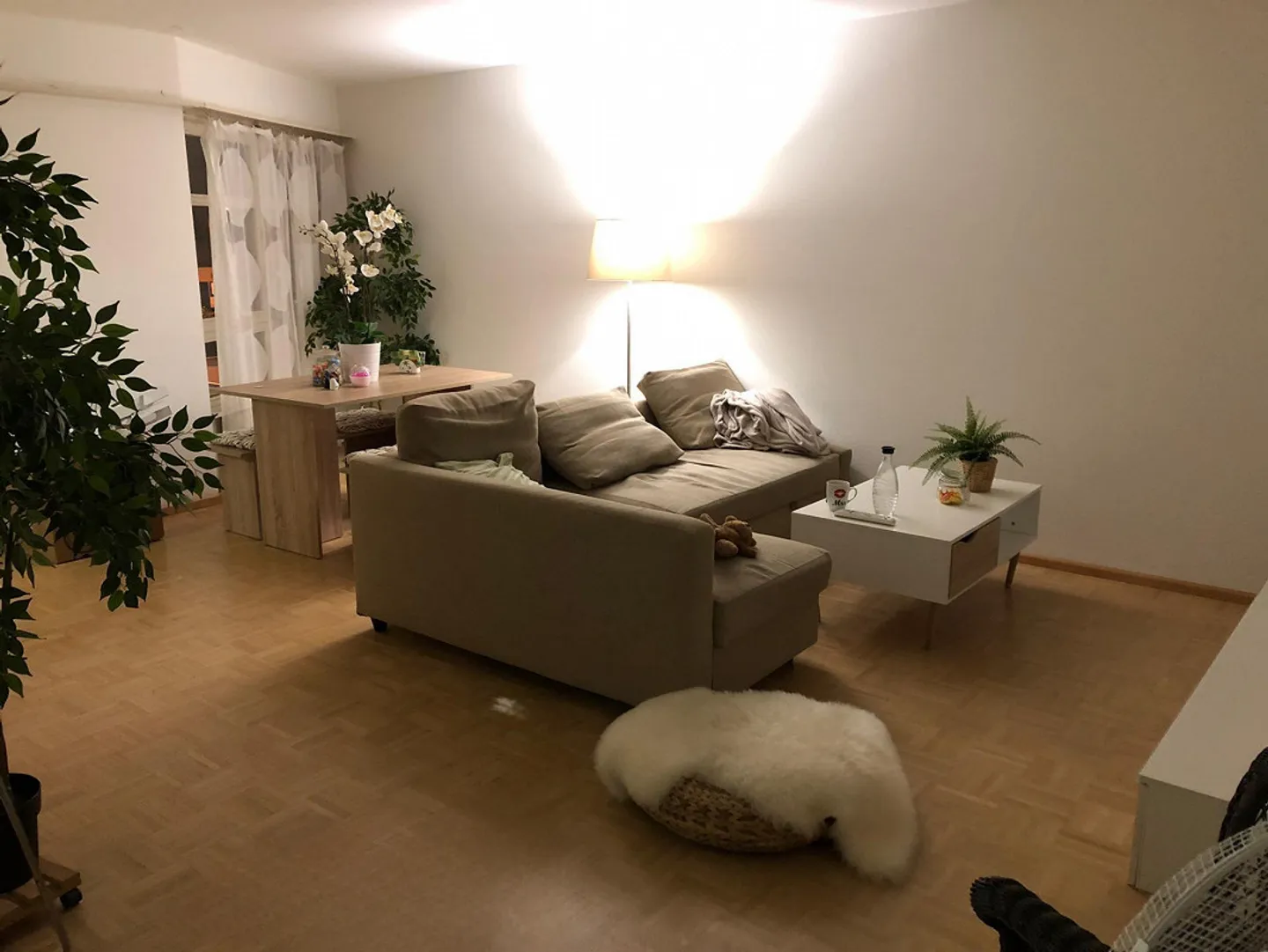 Appartamento Giardino Birsfelden - Foto 4 di 9