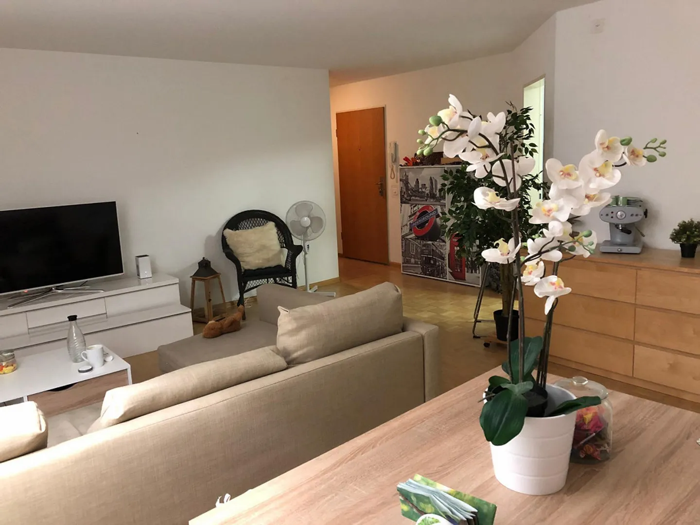 Appartamento Giardino Birsfelden - Foto 9 di 9