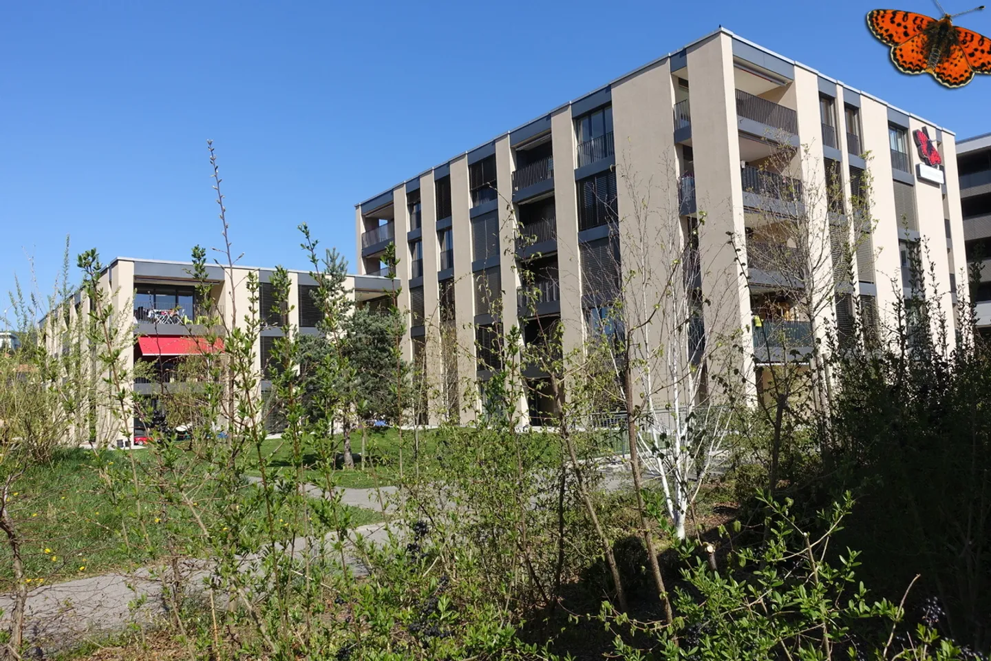 VERY NICE 2 ½ ROOMS - With small terrace! - Photo 1 of 5