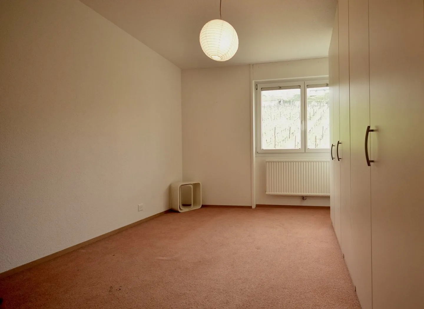 Your private balcony on the lake  Sublime 3.5 rooms on the 3rd floor - Photo 5 of 7