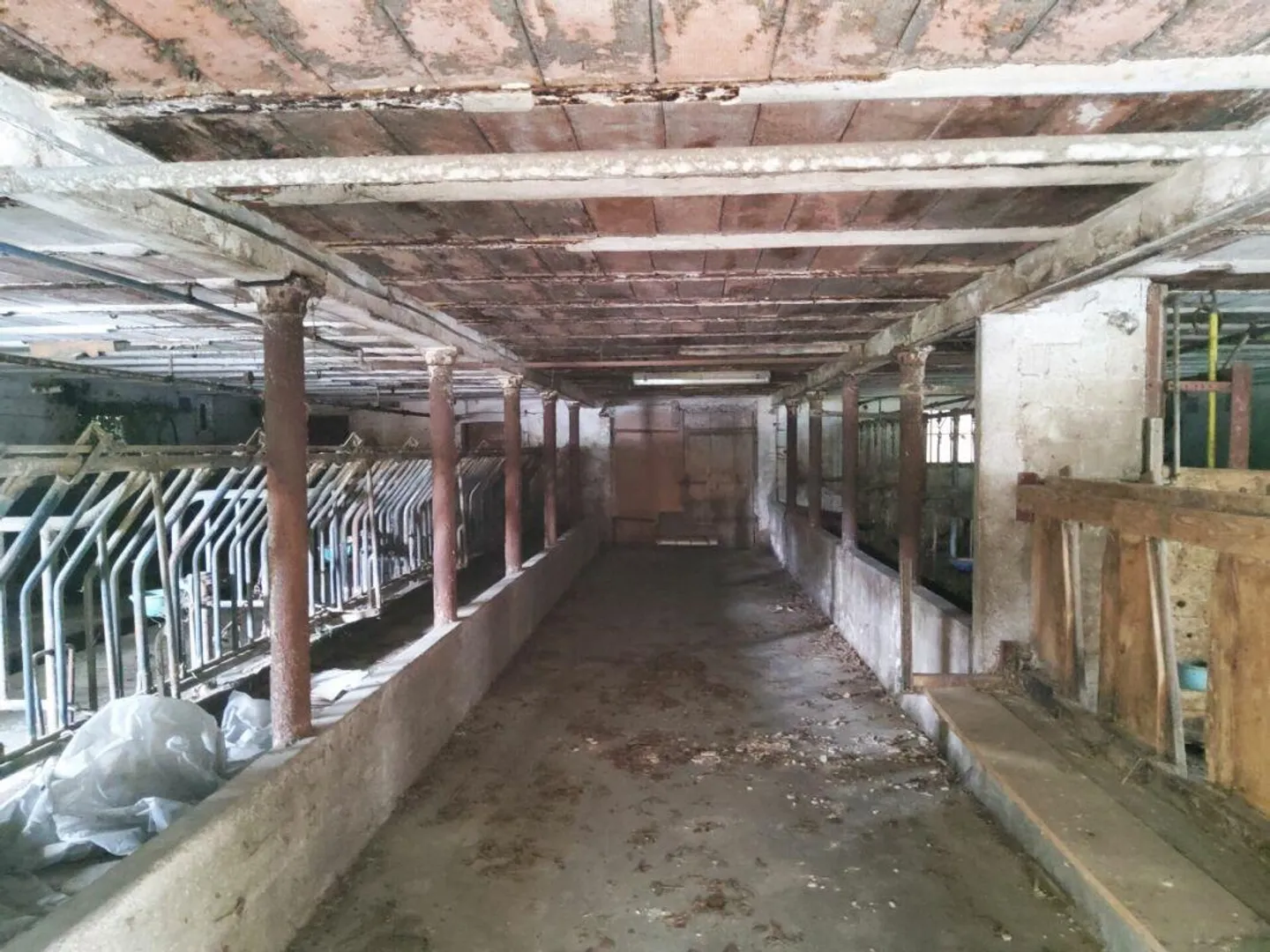 Ex fattoria con riserva di terreno edificabile e obbligo architettonico - Foto 12 di 13