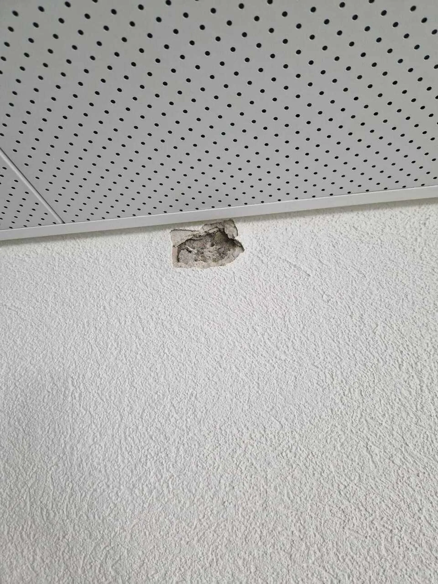 Espace de Bureau Spacieux - Photo 7 sur 8