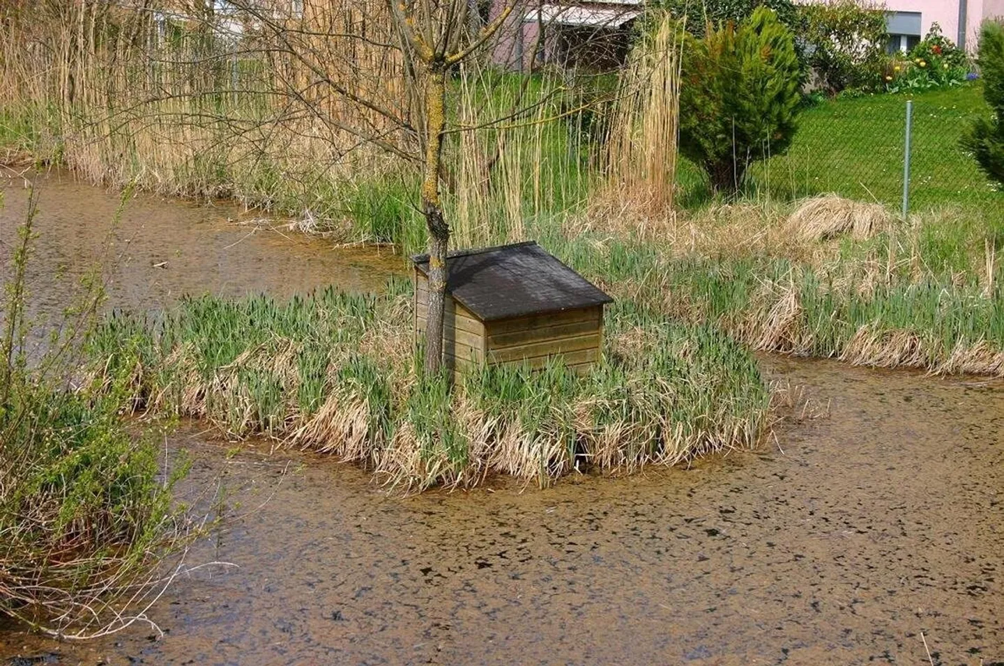 Dans la joie de vivre! - Photo 7 sur 11